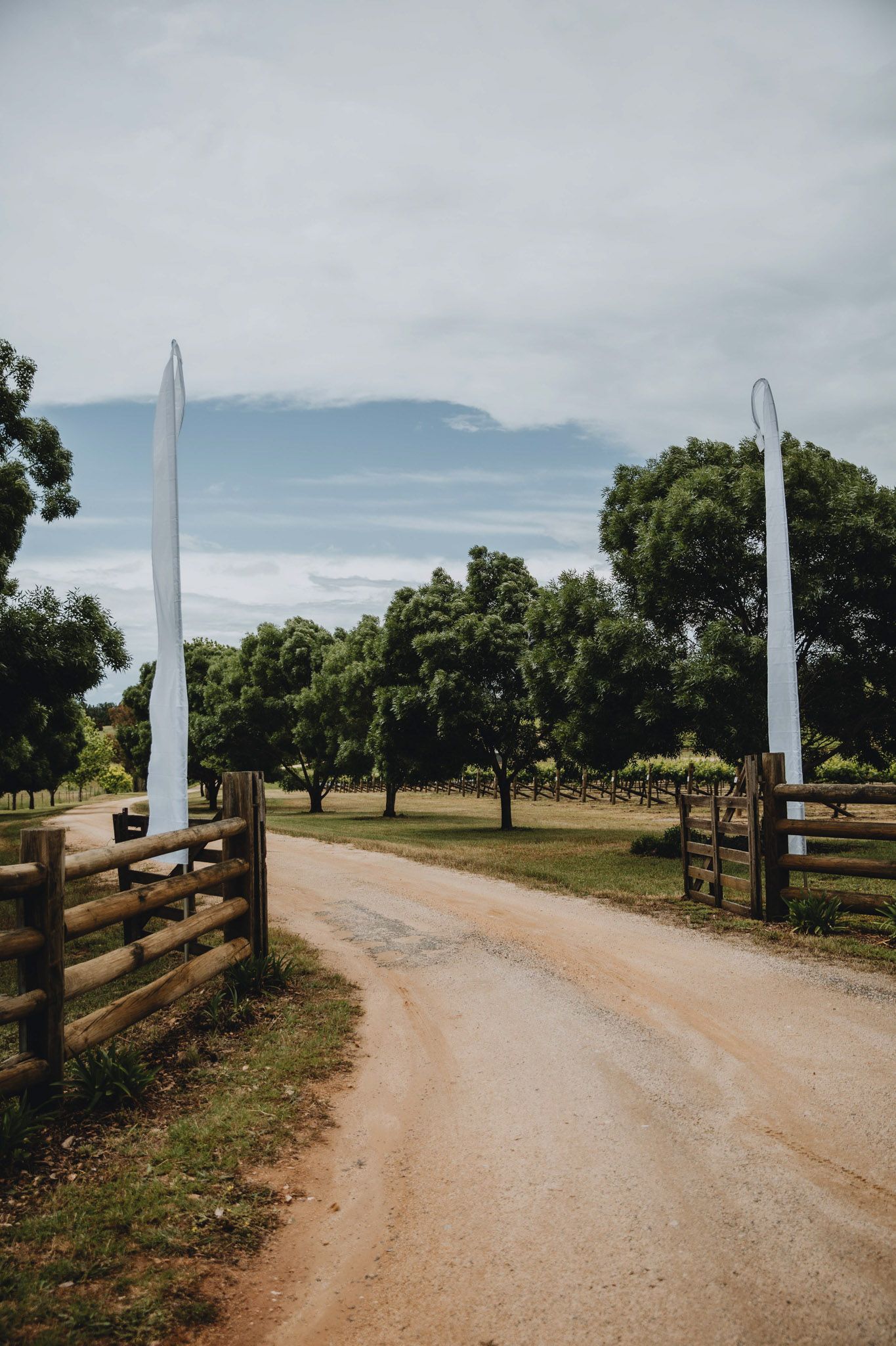 Young NSW Wedding Photographer- Emily Watson Photography