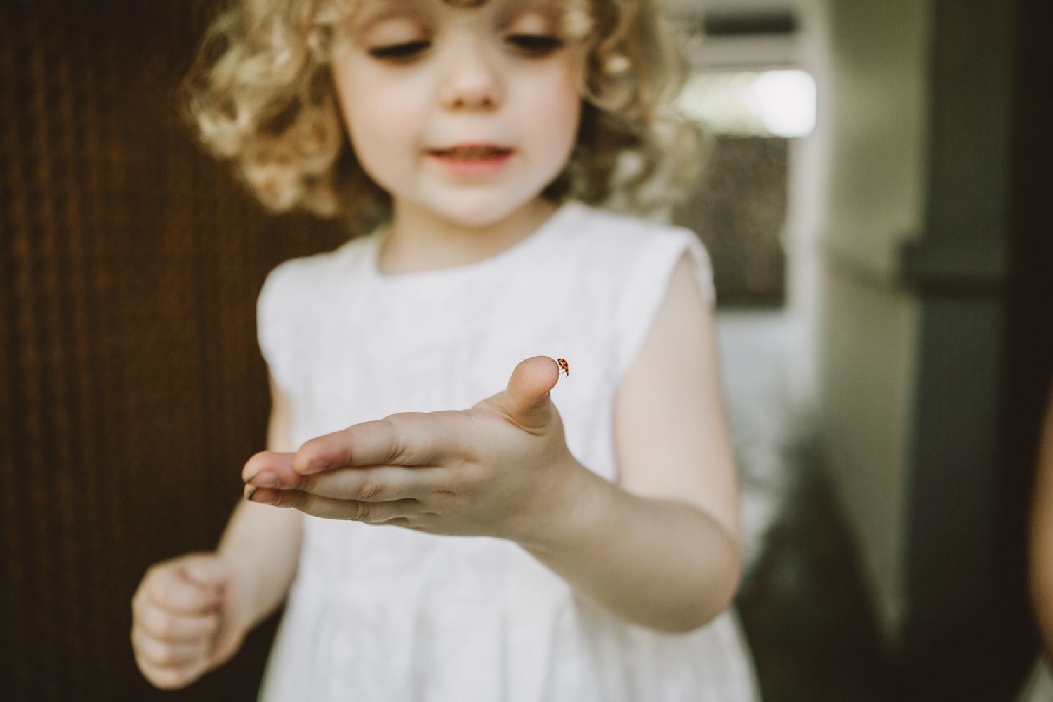 Southern highlands NSW Wedding Photographer- Emily Watson Photography