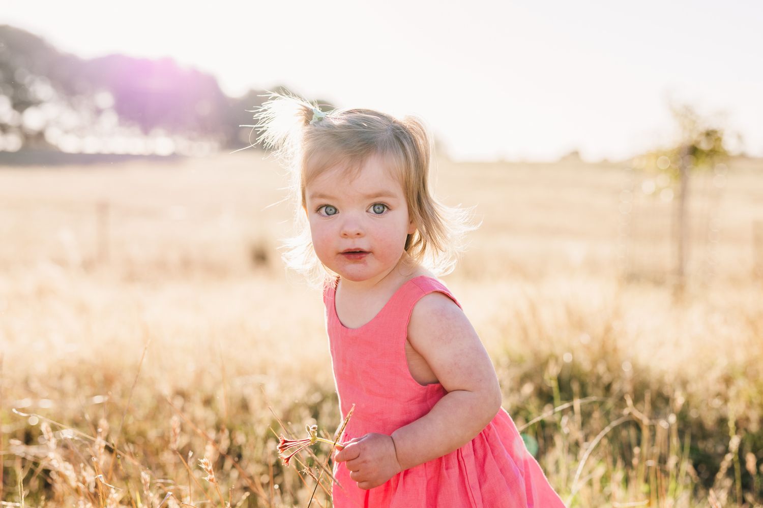 Young NSW Family Photography Session- Emily Watson Photography