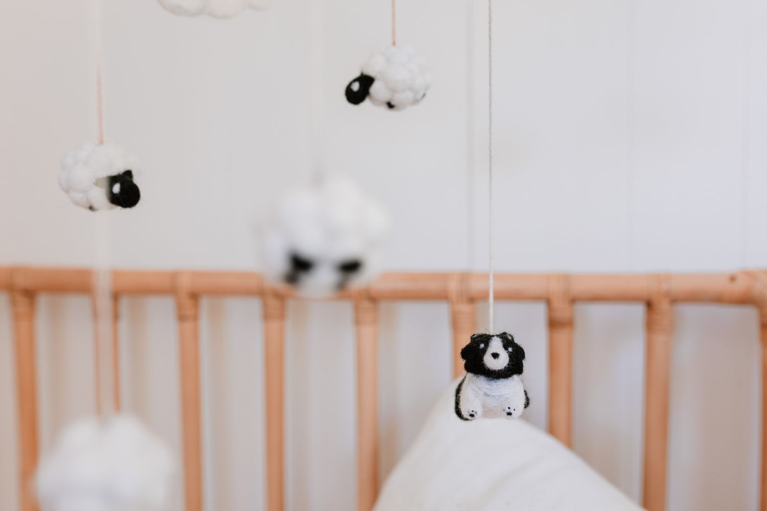 Newborn in home Photography session, Young NSW, Emily Watson Photography