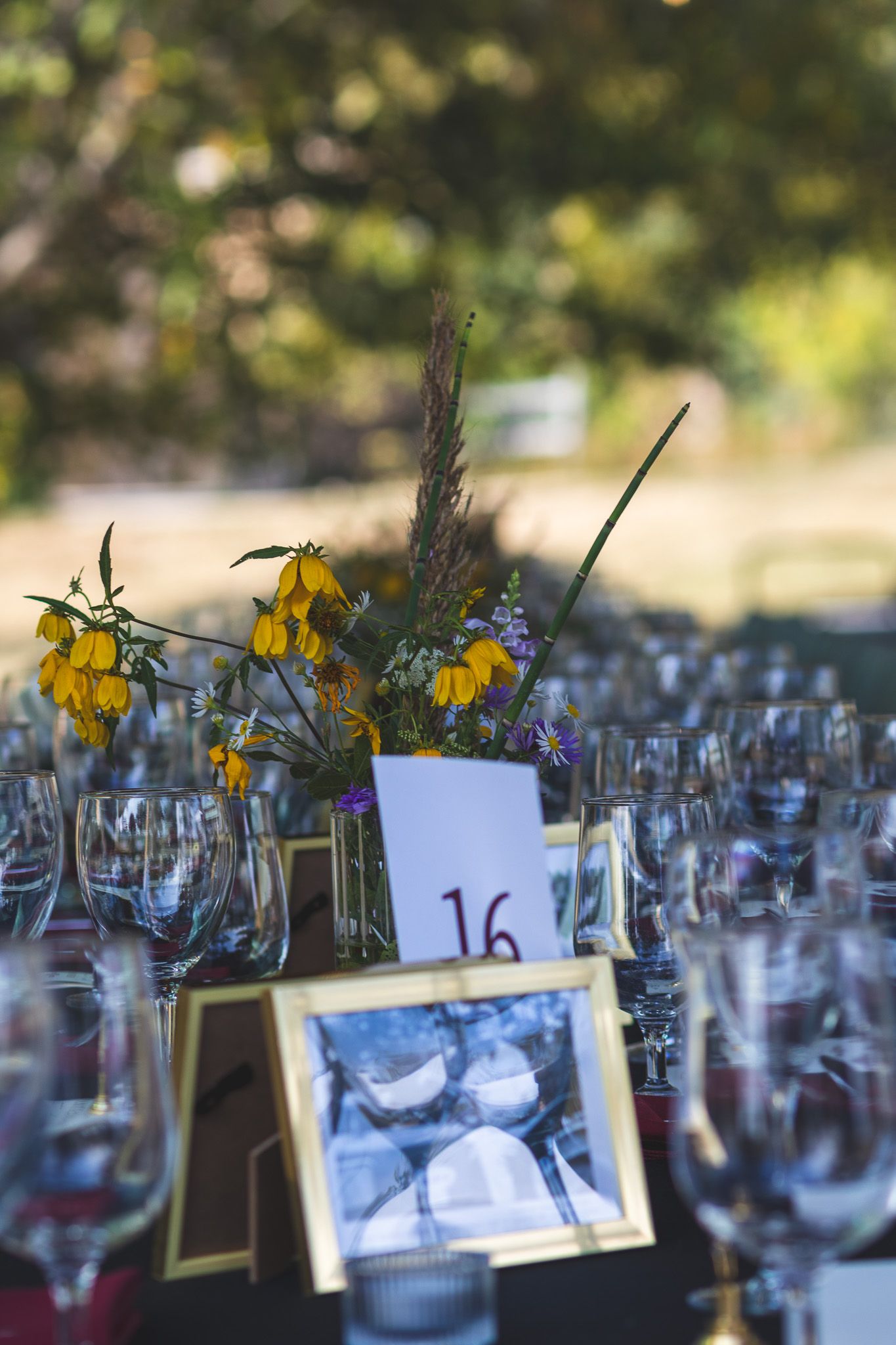 Outdoor wedding reception table with yellow wildflowers, wine glasses, table number 16, and framed black and white photo centerpiece.