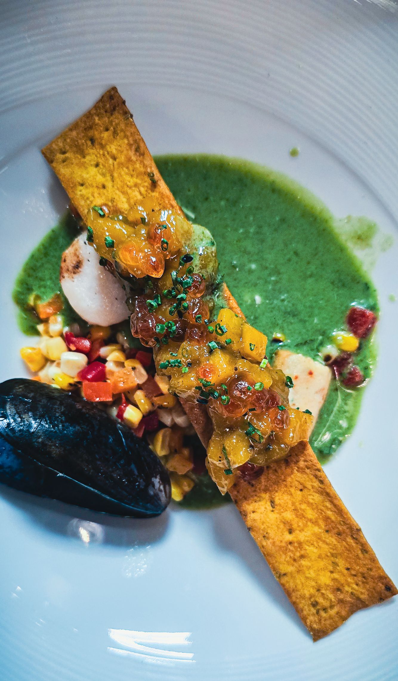 Elegant plated seafood dish with green herb sauce, corn salsa, crispy tortilla strips, and mussels on white plate.