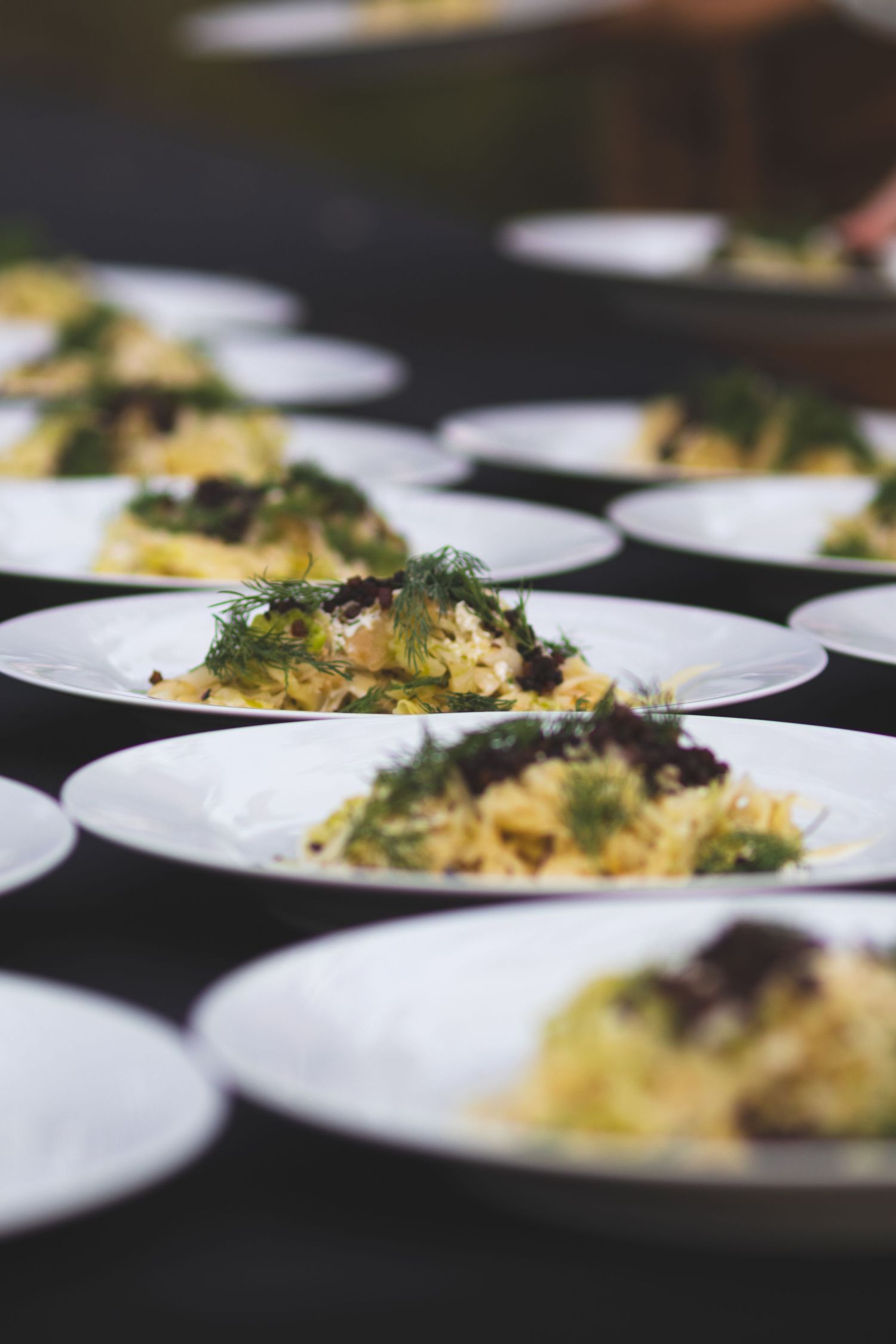 Rows of elegant white plates topped with pasta salad and fresh dill at a catered event.