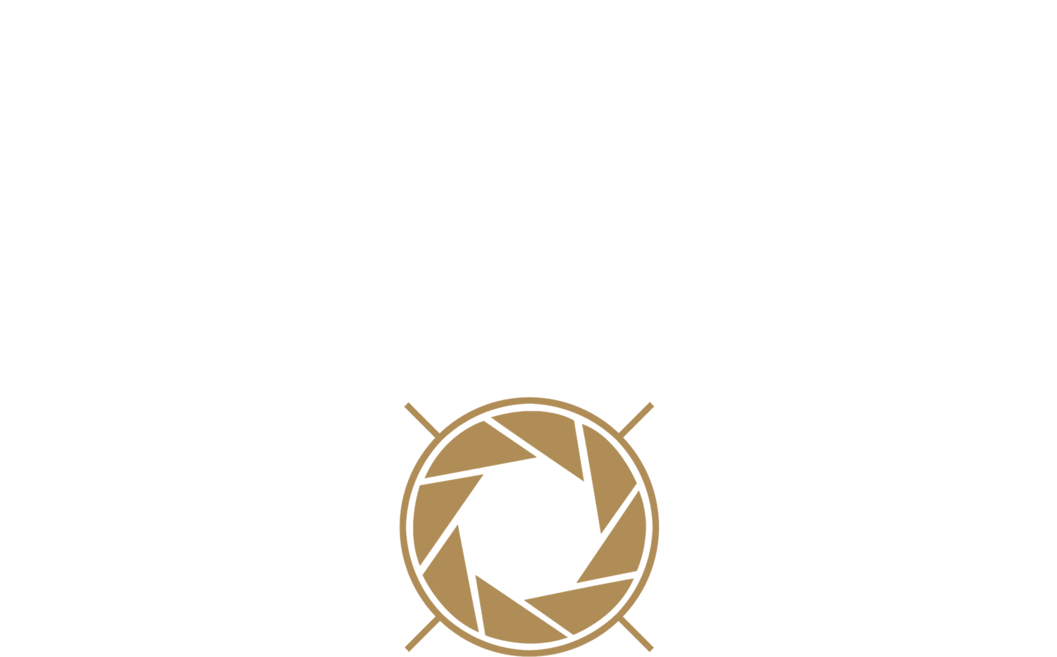 A minimalist gold aperture or camera shutter icon design with triangular points around the circular shape.