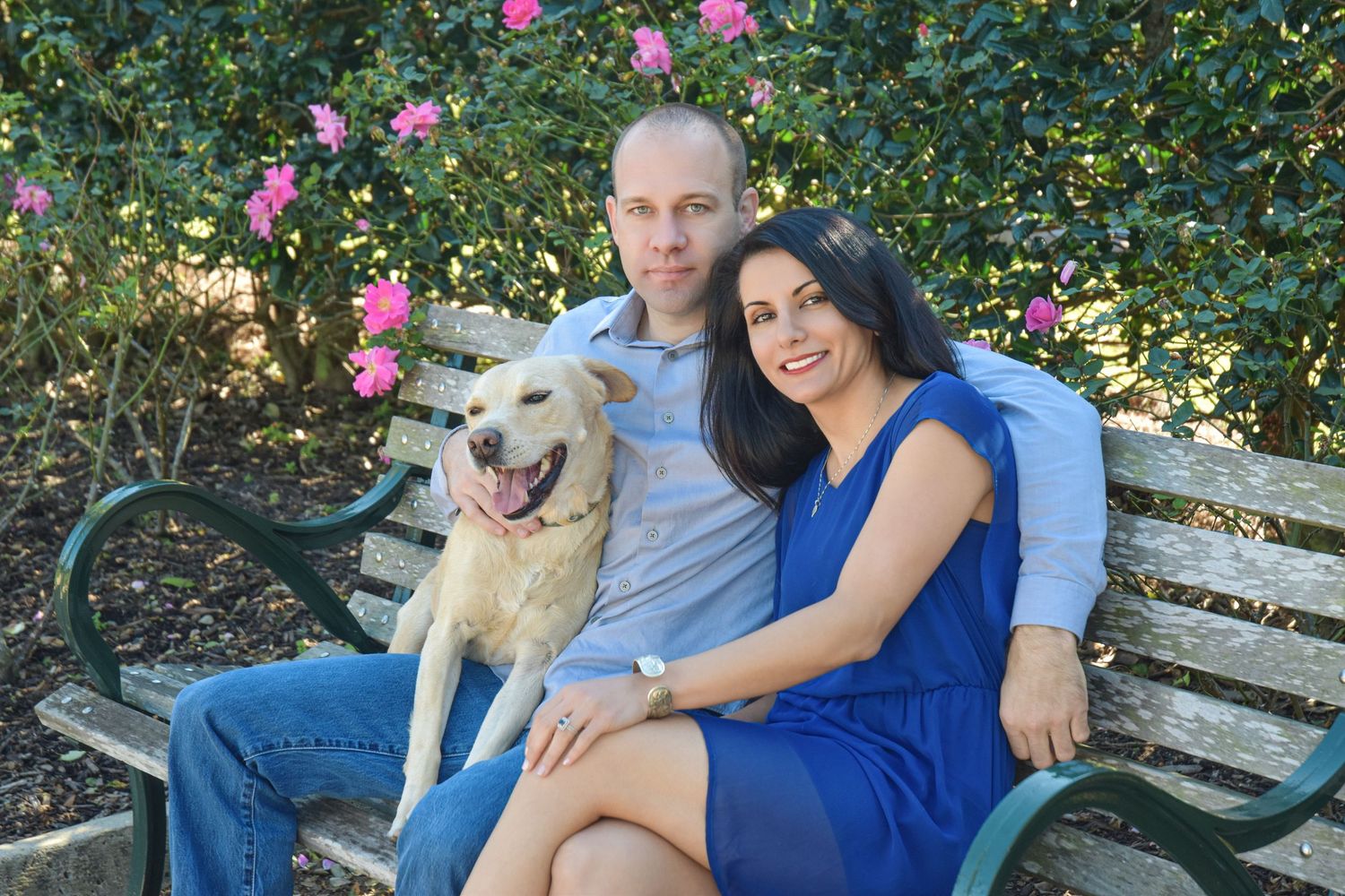 Smiling couple sitting on a park bench with a yellow Labrador dog in front of pink flowers.