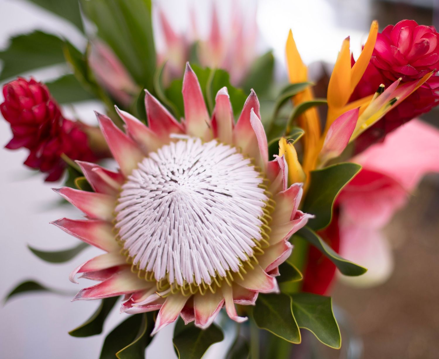 Flowers in Hawaii