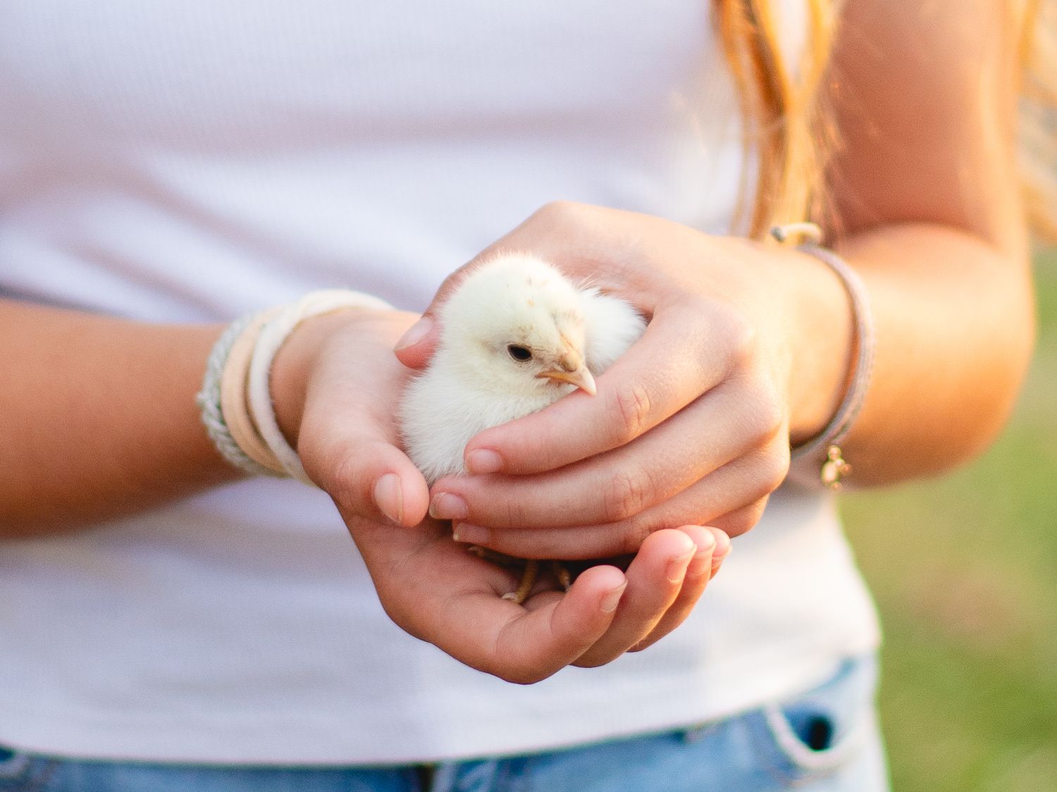 Lifestyle portrait holding chick during Oahu Hawaii photography session