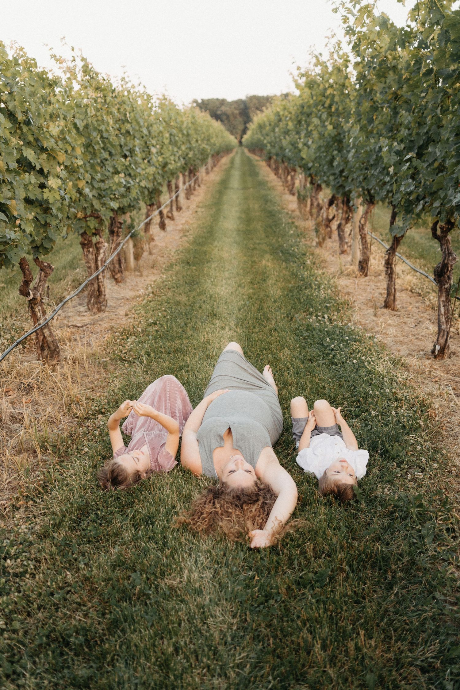 Three people lying on grass between vineyard rows.