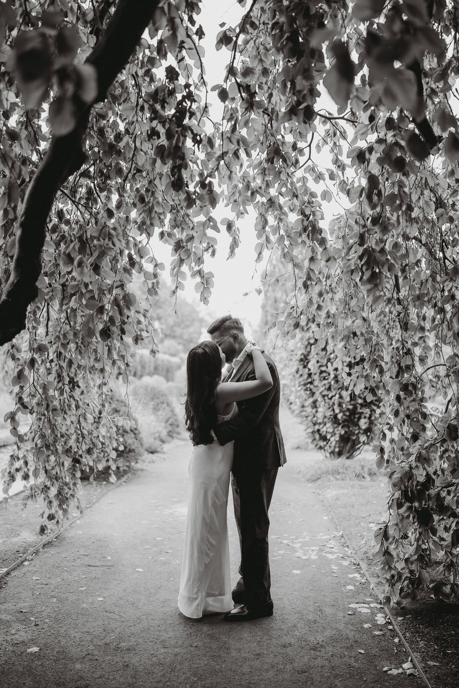 Black and white photo of a couple embracing under a weeping tree canopy on a quiet garden path.