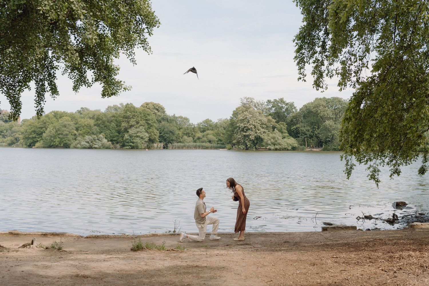 Man kneeling on one knee proposing to a woman on a sandy lakeshore with calm water, lush green trees, and a bird flying overhead.