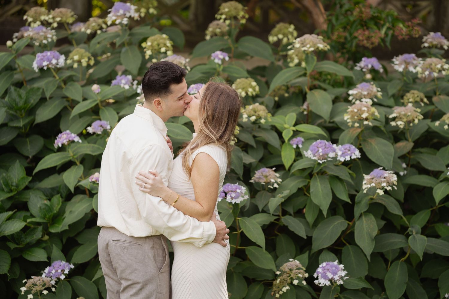 Couple in an embrace kissing in a lush garden surrounded by blooming blue and green hydrangeas.