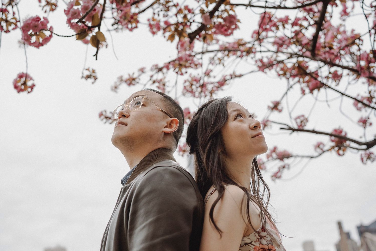 A couple stands back to back beneath blooming pink cherry blossom trees looking up at the flowers.