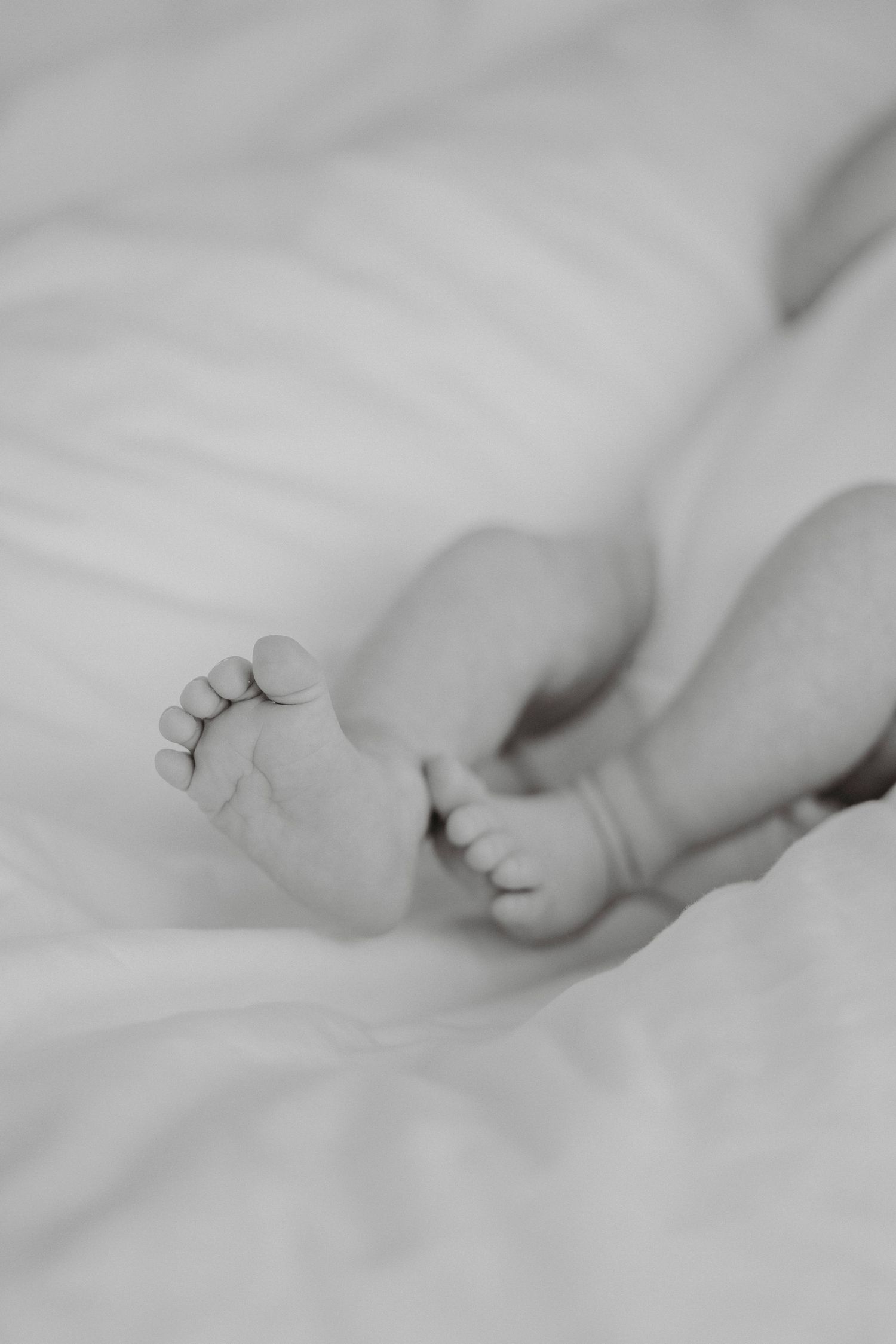 Black and white close-up of tiny newborn baby feet on white blanket.