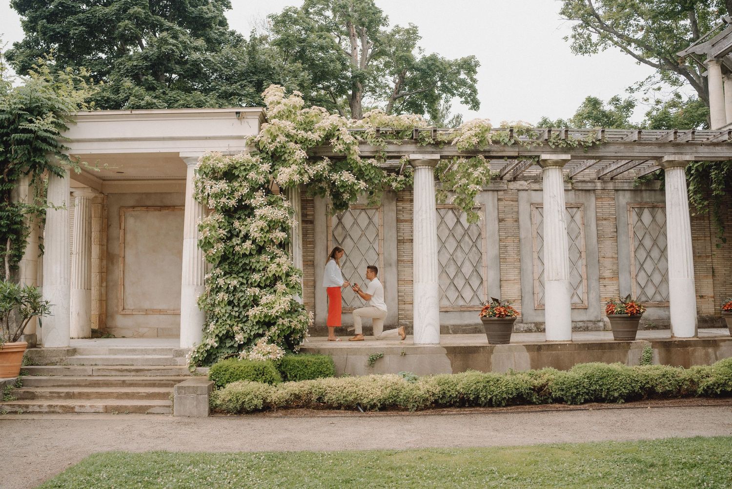 Couple shares a marriage proposal moment beneath a white columned pergola draped in blooming vines in a lush, sunlit garden.