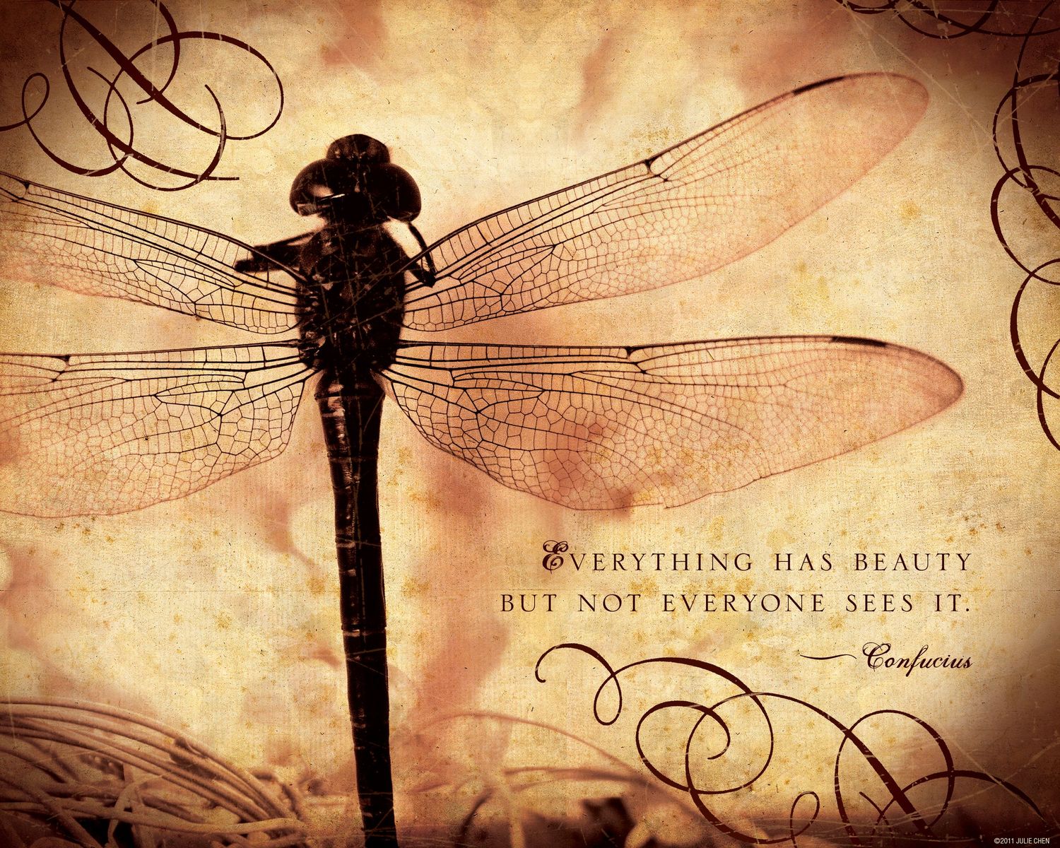 Confucius Quote Instant Digital Art Download, Dragonfly Artwork, Inspirational Quote, Everything has Beauty Inspirational Art, Printable