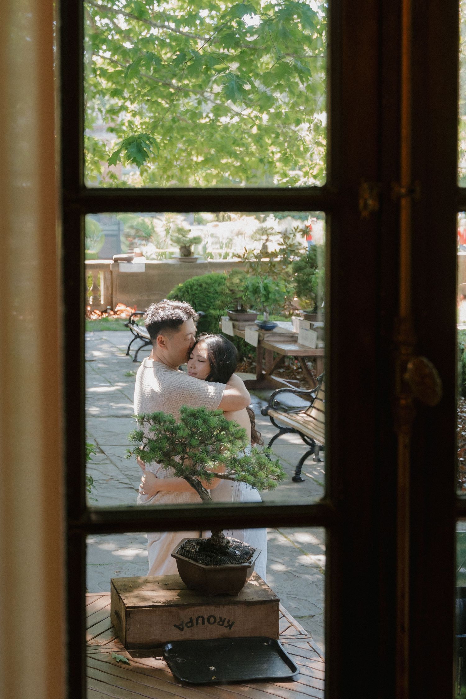 Couple embracing romantically on a sunlit patio viewed through a glass door with a bonsai tree in the foreground.