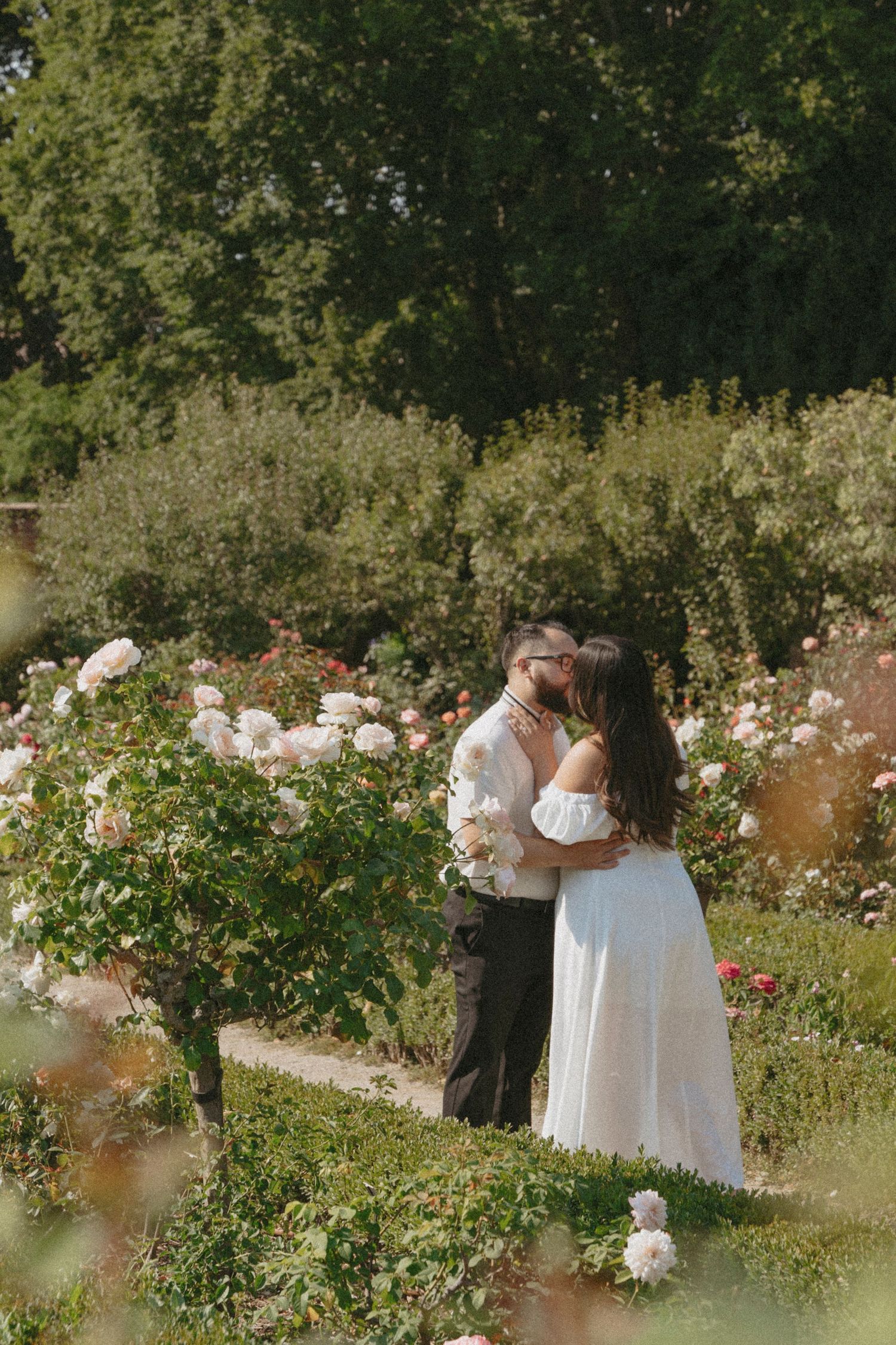 Couple sharing a romantic kiss surrounded by blooming roses in a lush garden setting at Filoli Gardens in Woodside, CA.