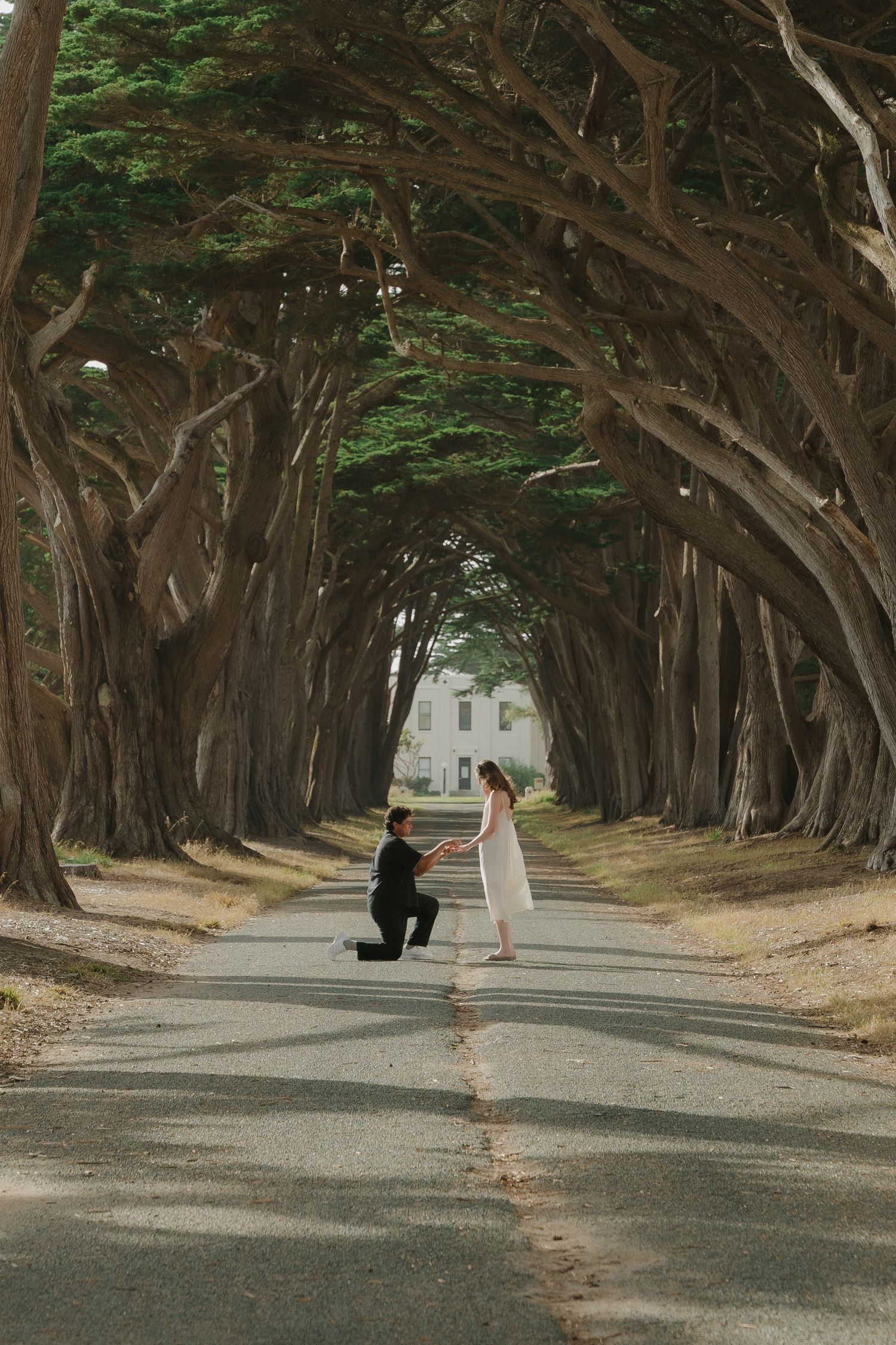 Man proposes on one knee to woman in white dress along a stunning tree-lined avenue with white building backdrop.