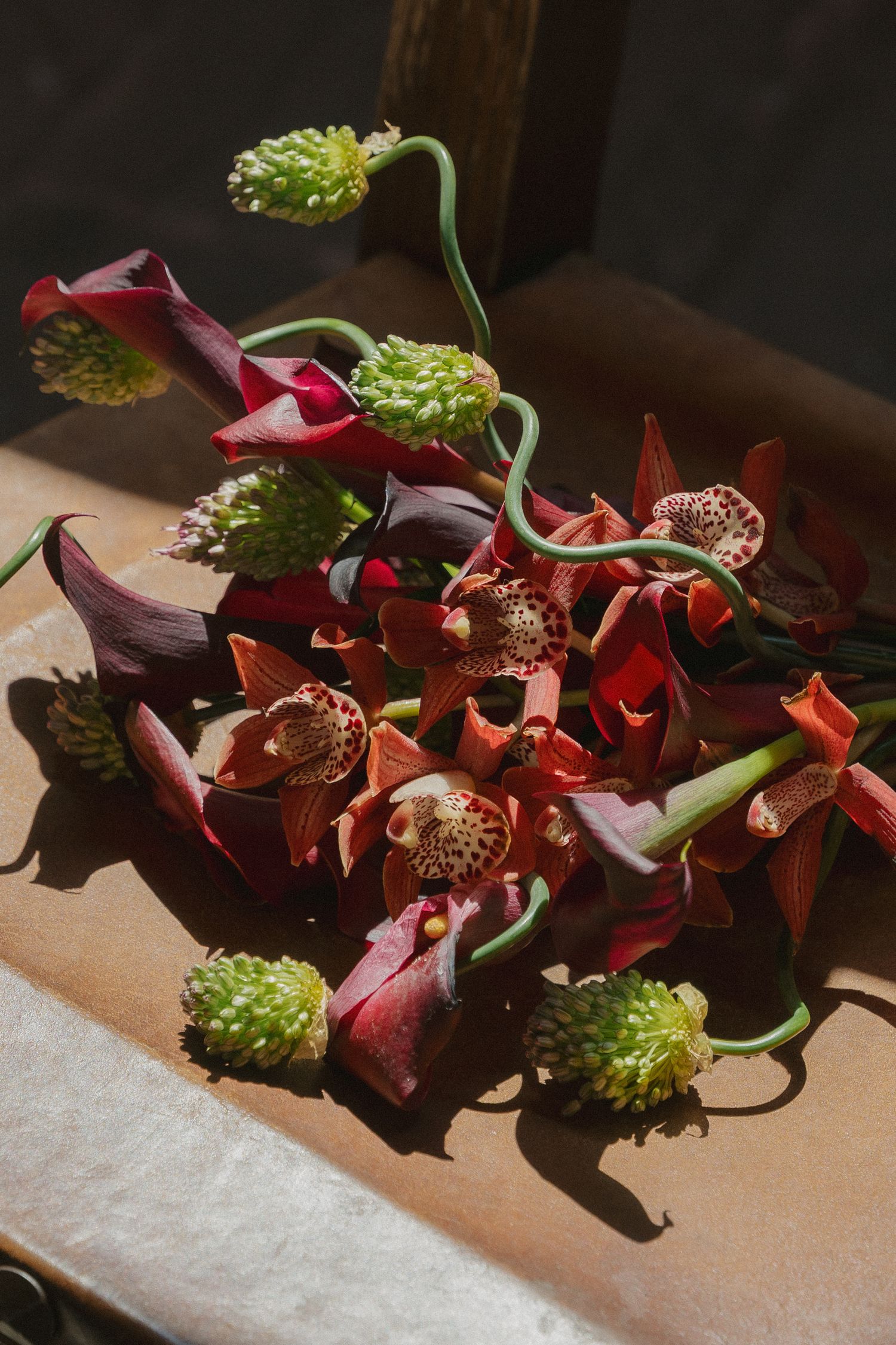 Artistic arrangement of deep red orchids and green scabiosa buds on kraft paper in sunlight in Napa, CA.