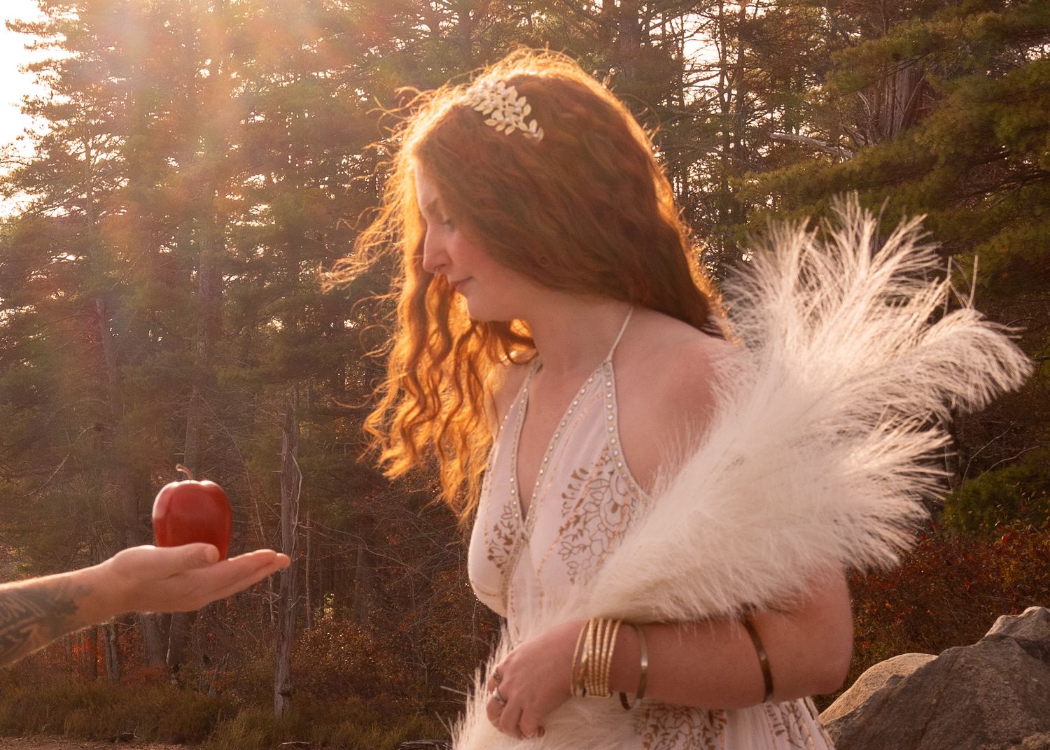 A couple embraces in a golden sunset glow among evergreen trees during an outdoor photo session.