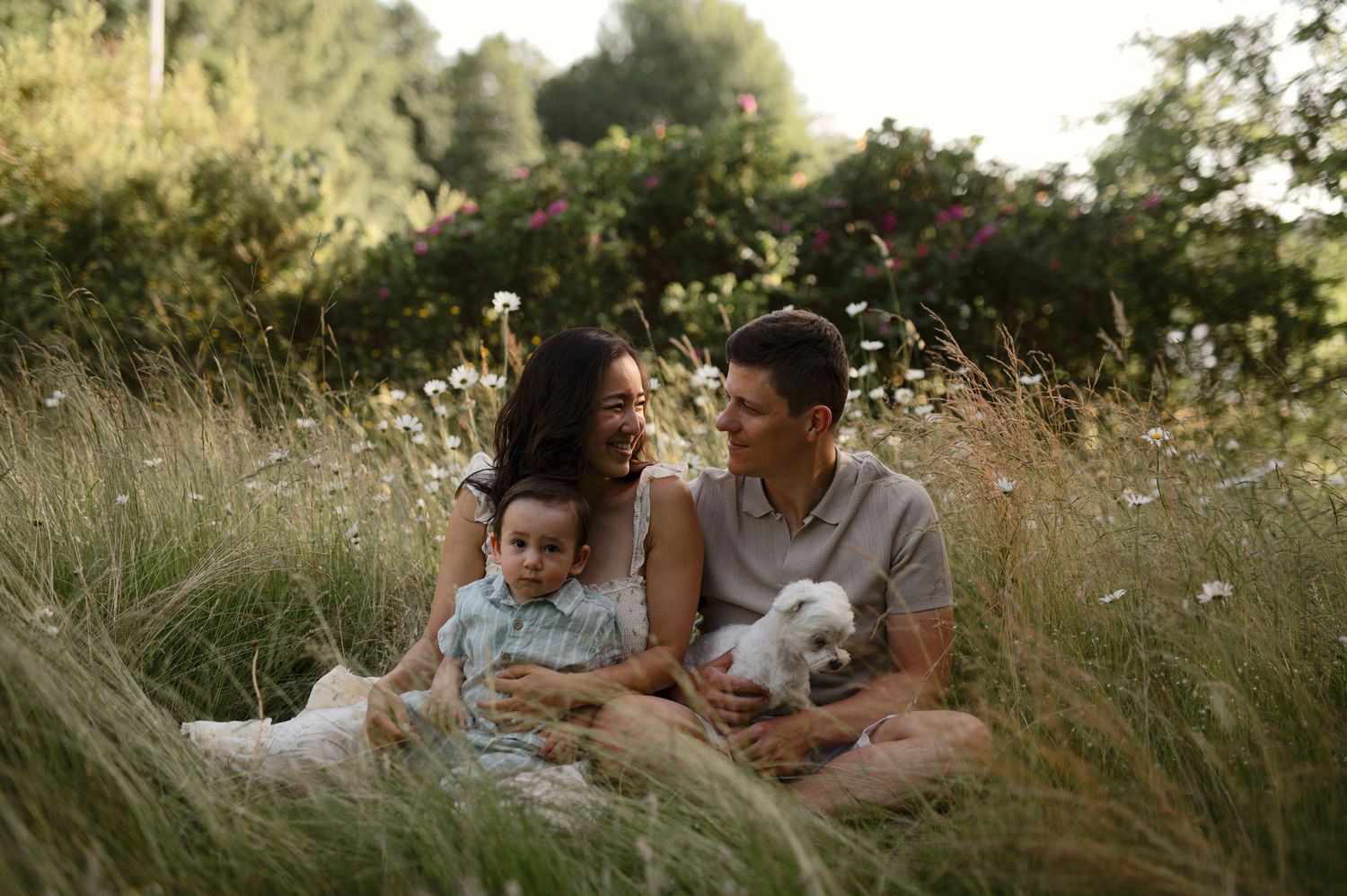 En lycklig familj med en bebis och en vit hund sitter i högt gräs, omgiven av vildblommor och grönska.
