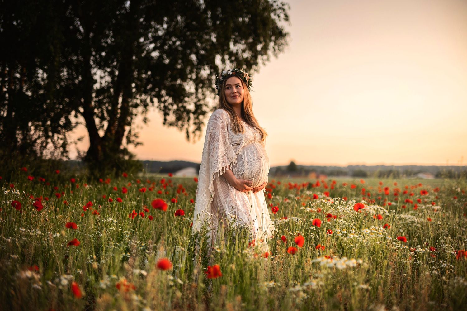 Gravidfotografering i Skåne med blivande mamma i vallmo- och vildblomsäng i solnedgång.