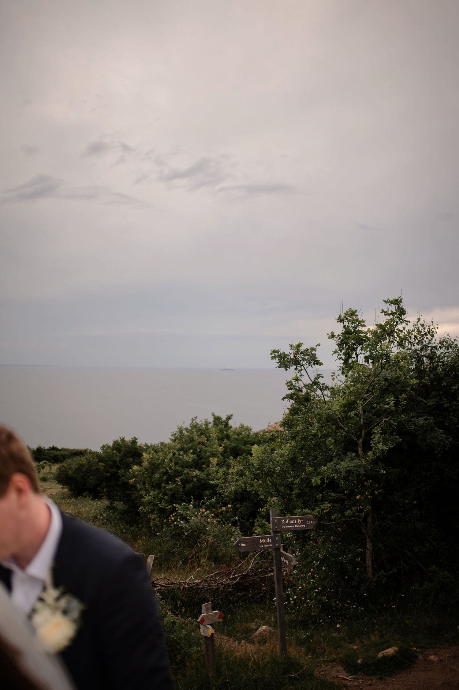 A groom in a navy suit with a white boutonniere stands near a coastal cliffside garden with ocean views under cloudy skies.