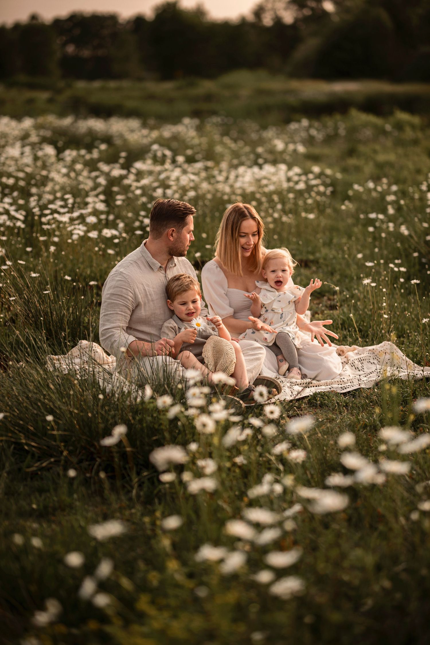 Familjefotografering i Skåne med familj på fyra i tusenskönaäng i gyllene kvällsljus.