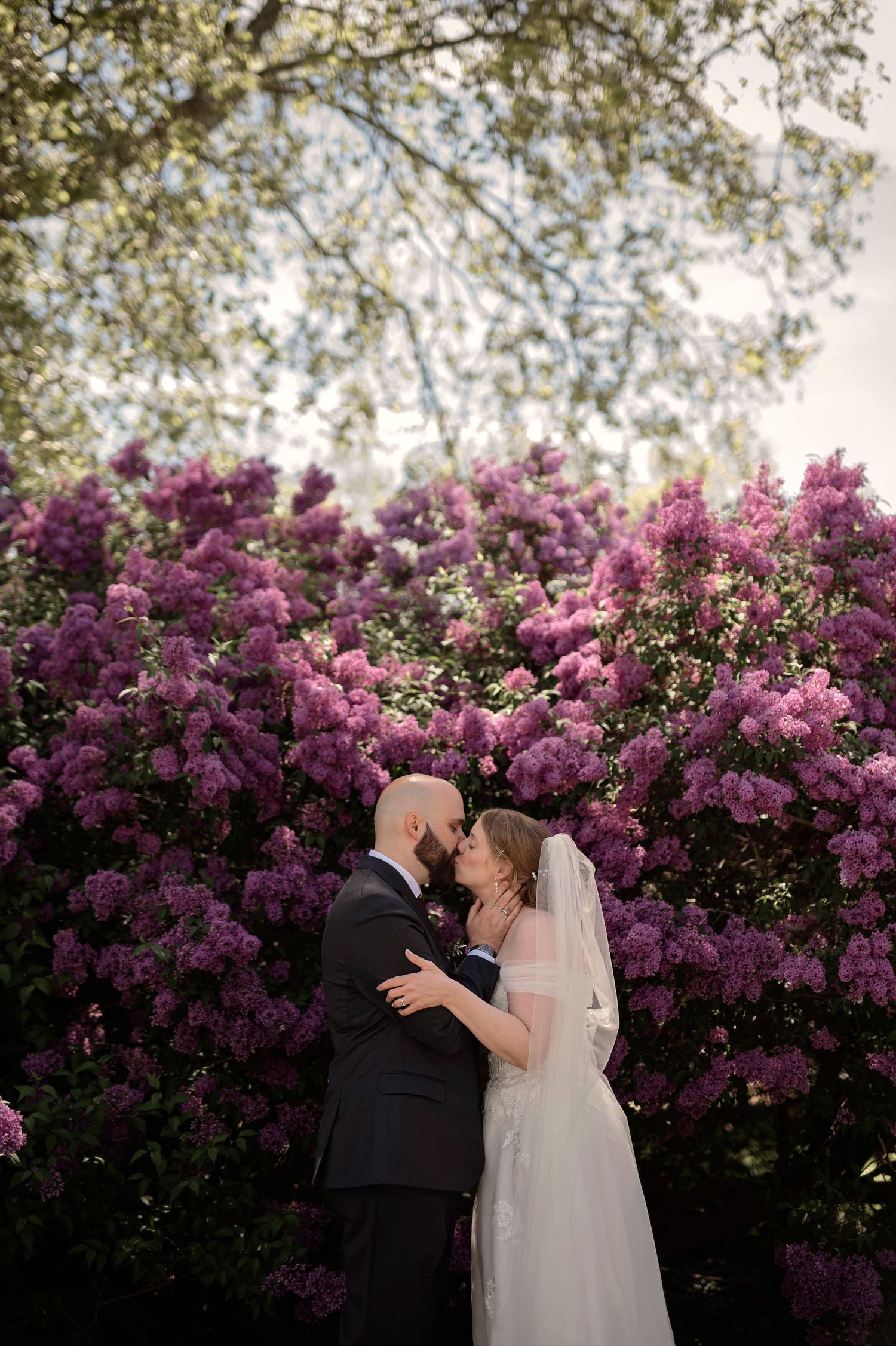 Bride and groom share a romantic moment in front of blooming purple lilac bushes in a lush garden setting.