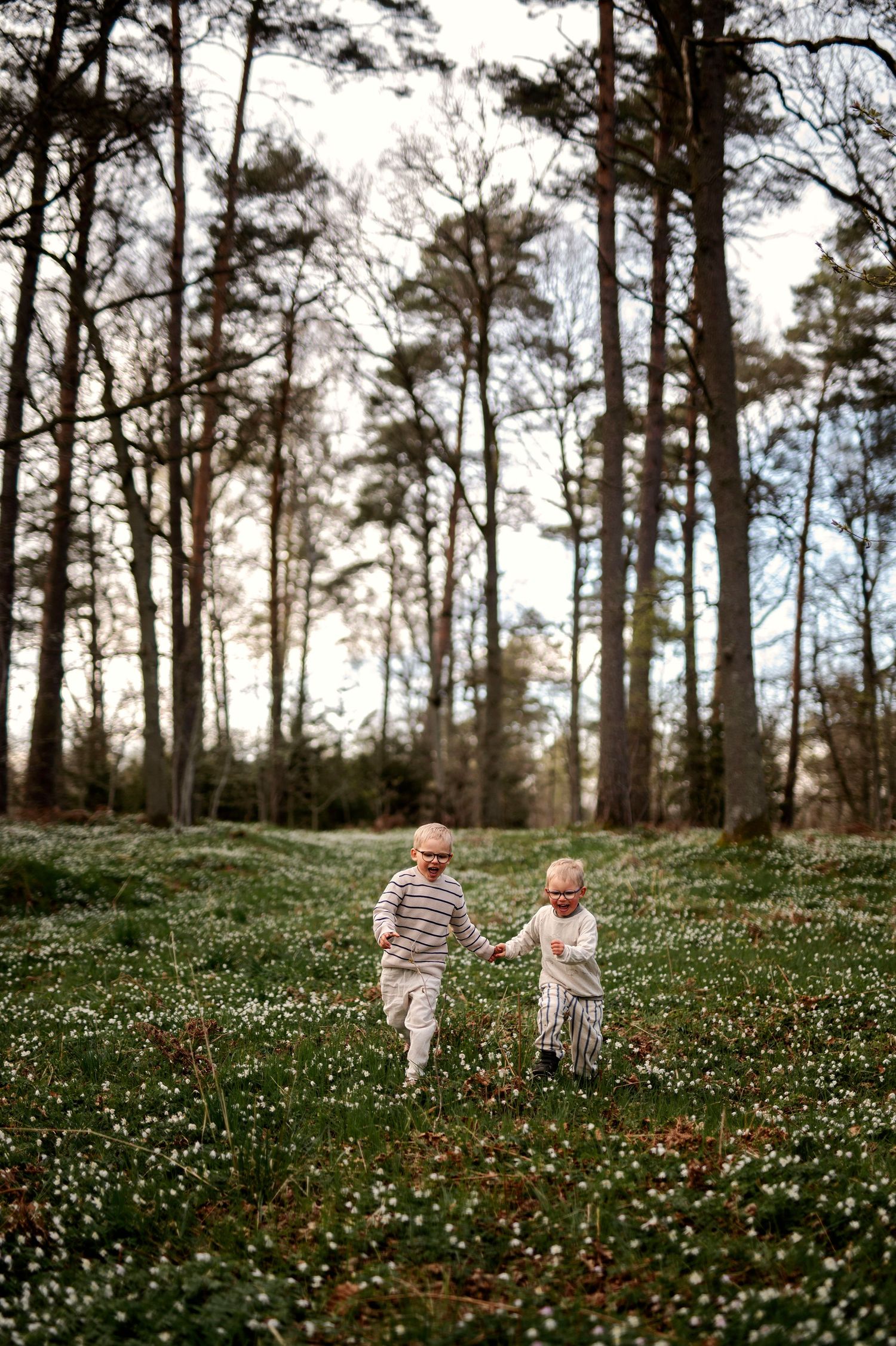 Two young children holding hands while walking through a flower-filled forest meadow in spring.