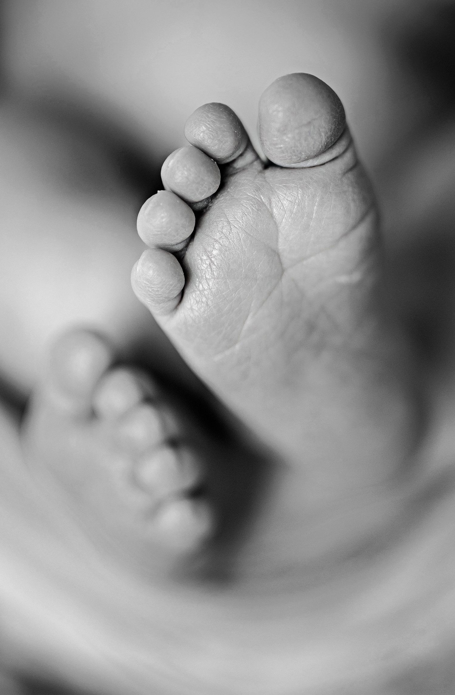 Svartvit närbild av nyfödd bebis små fötter under en nyföddfotografering i Hässleholm.