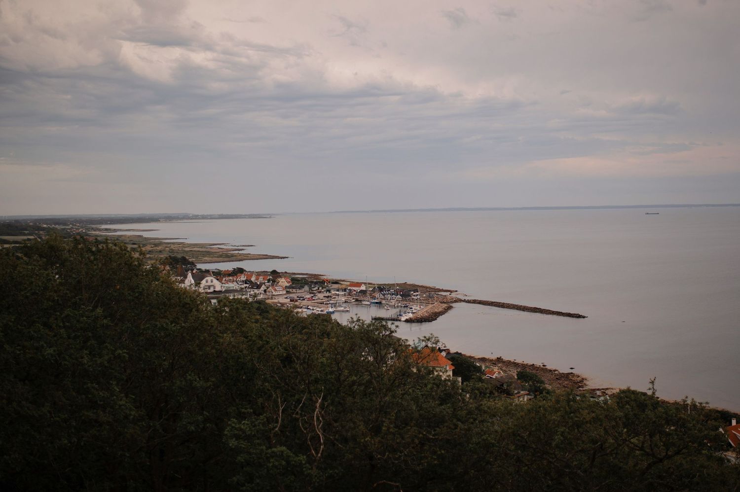 Aerial view of a small coastal town with a harbor nestled between lush green trees and a calm gray sea.