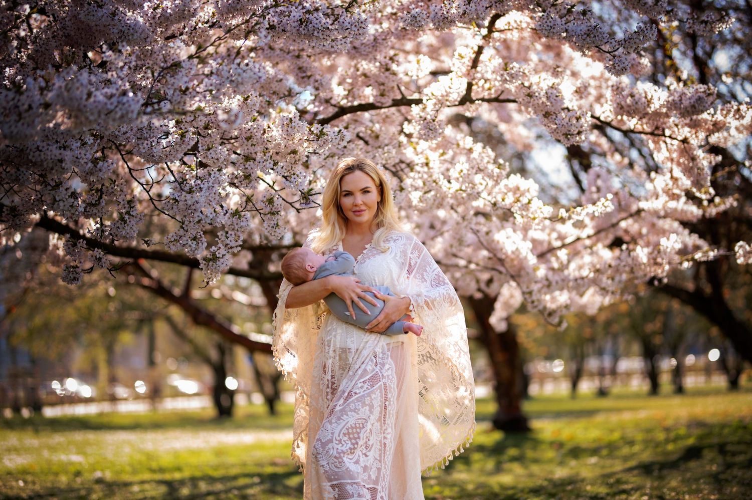 Spring maternity portrait under blooming cherry blossom trees.