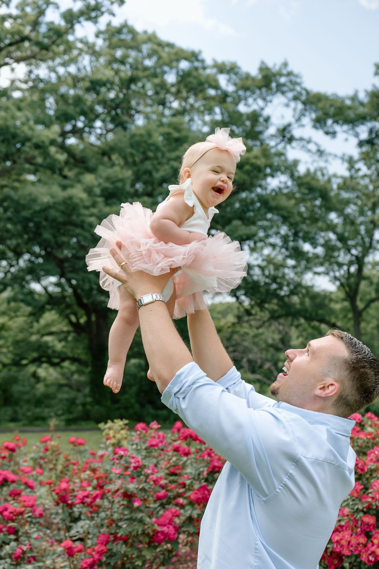 Joyful father lifts laughing baby girl in pink tutu dress high in the air in a rose garden.