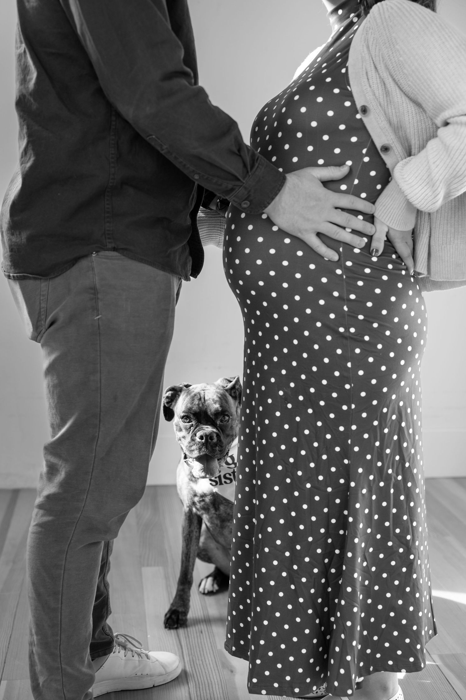Black and white photo of a pregnant couple with a small dog wearing a bandana standing between them.