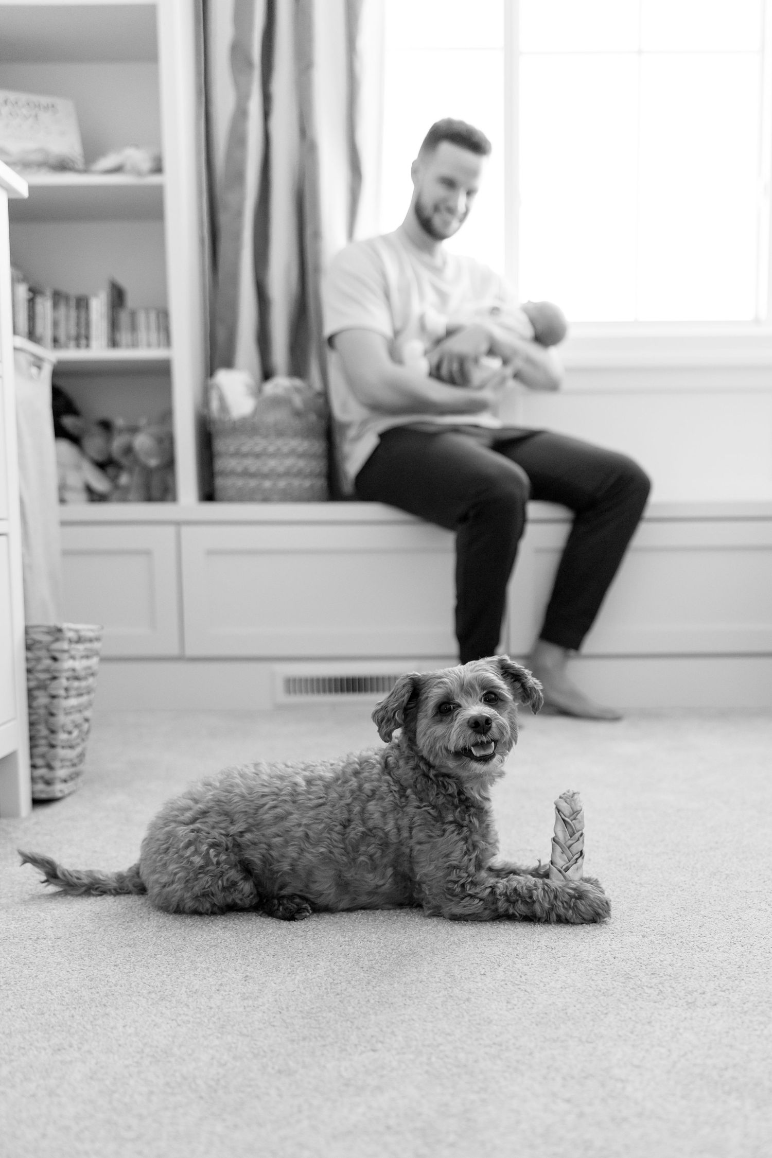 Black and white photo of a curly dog posing while father holds newborn in nursery.