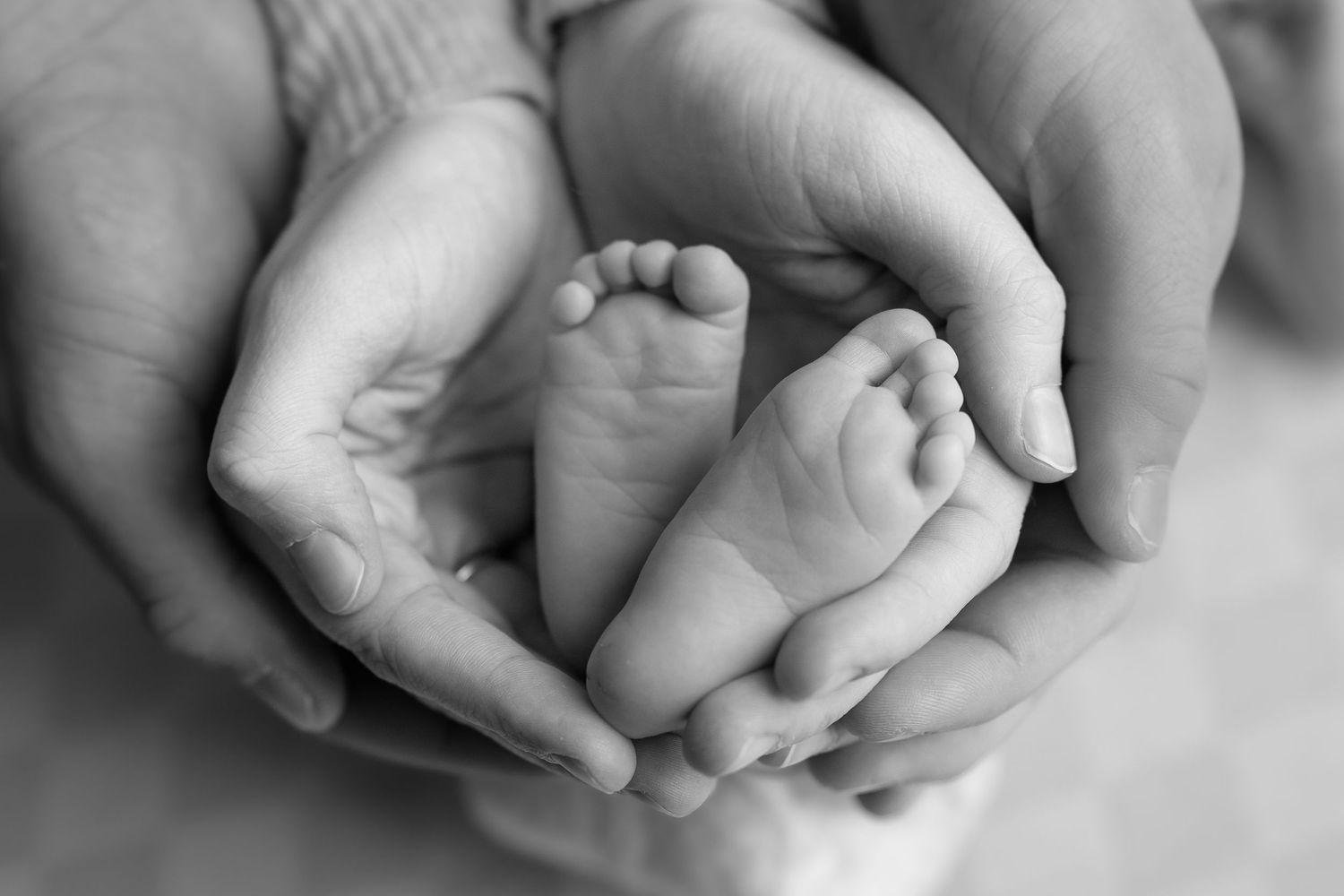Adult hands gently cradling tiny newborn baby feet in a tender black and white close-up photo.