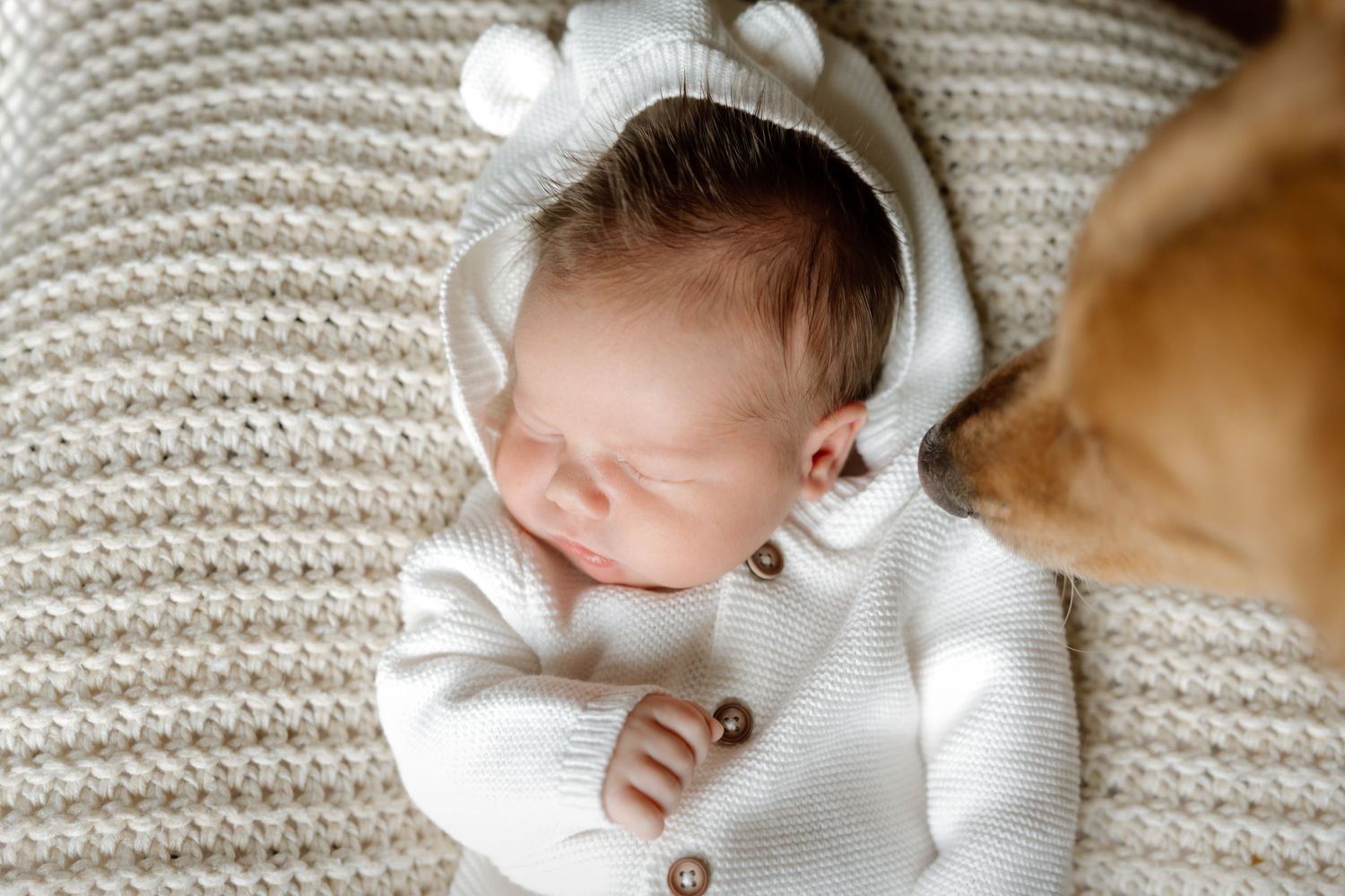 Sleeping newborn baby in white knit bear hoodie on cozy blanket with dog nearby.