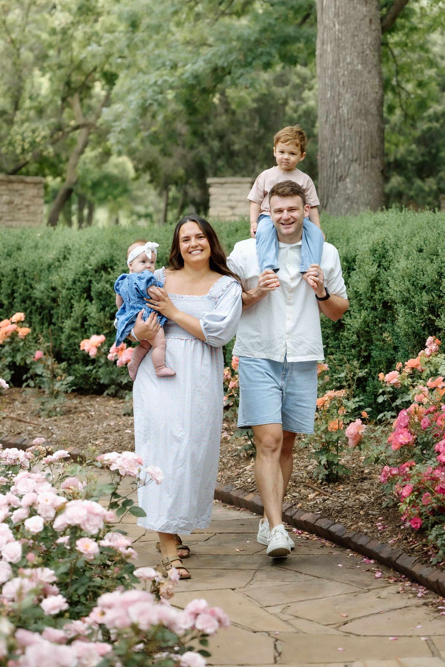 Happy family walks through blooming rose garden, mother carrying infant and father with toddler on shoulders.