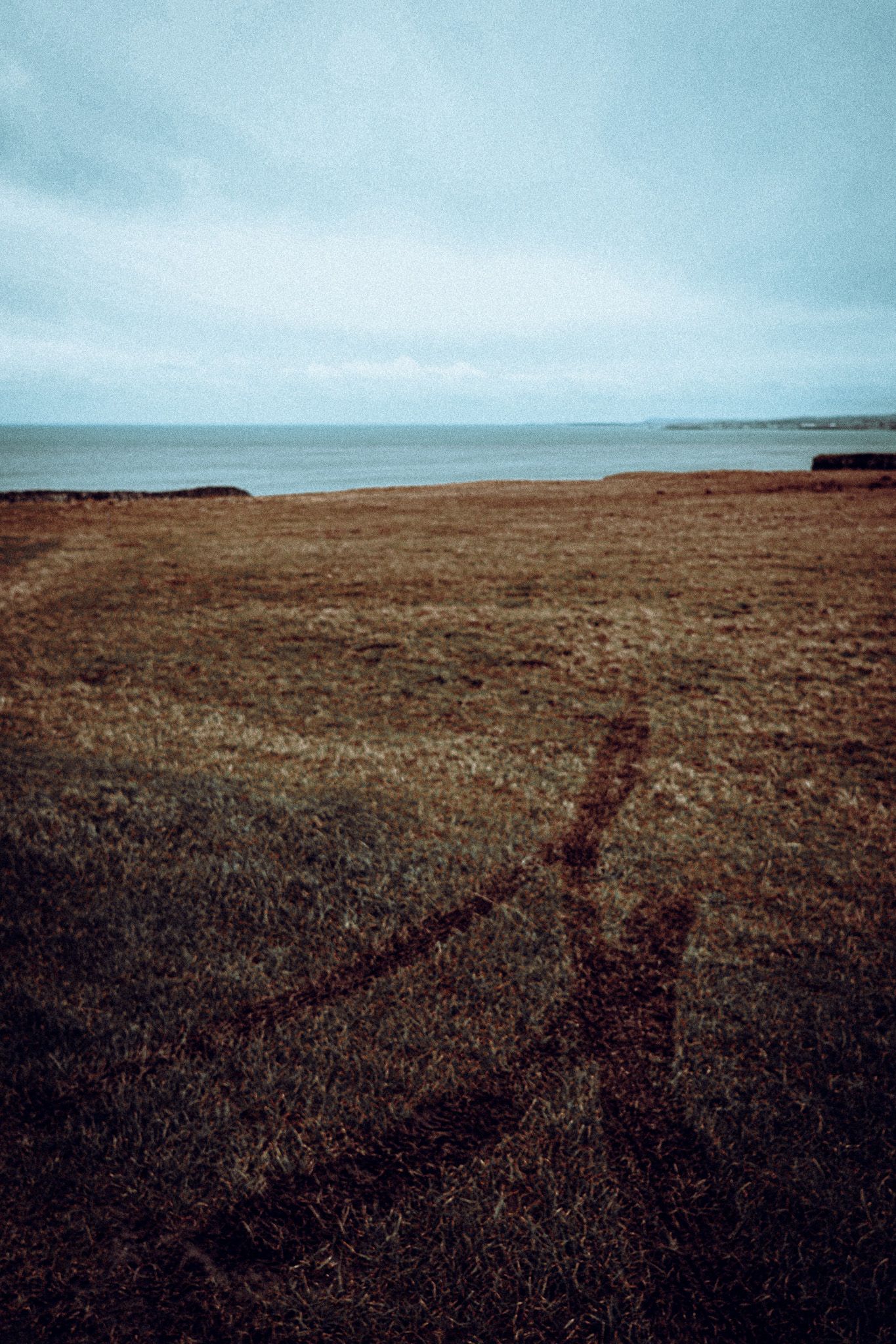 Shadow of a person cast across brown coastal grassland with calm sea horizon.