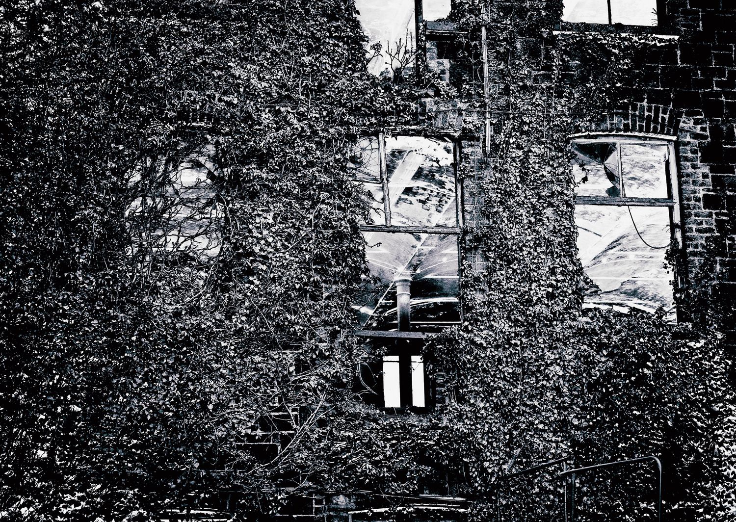 Black and white photo of an ivy-covered abandoned building with broken windows and deteriorating facade.