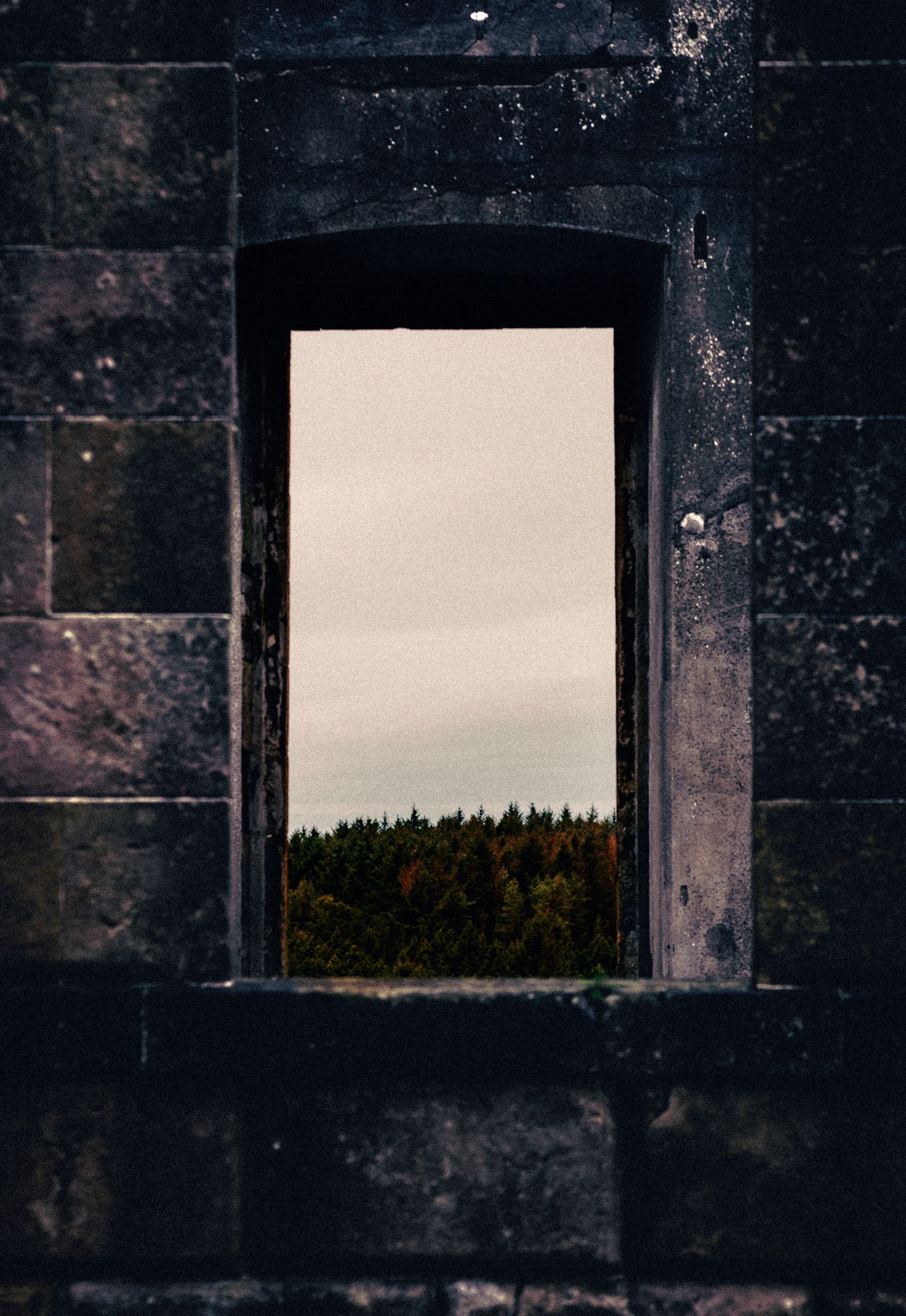 Stone window framing a view of dense green treetops under an overcast sky.