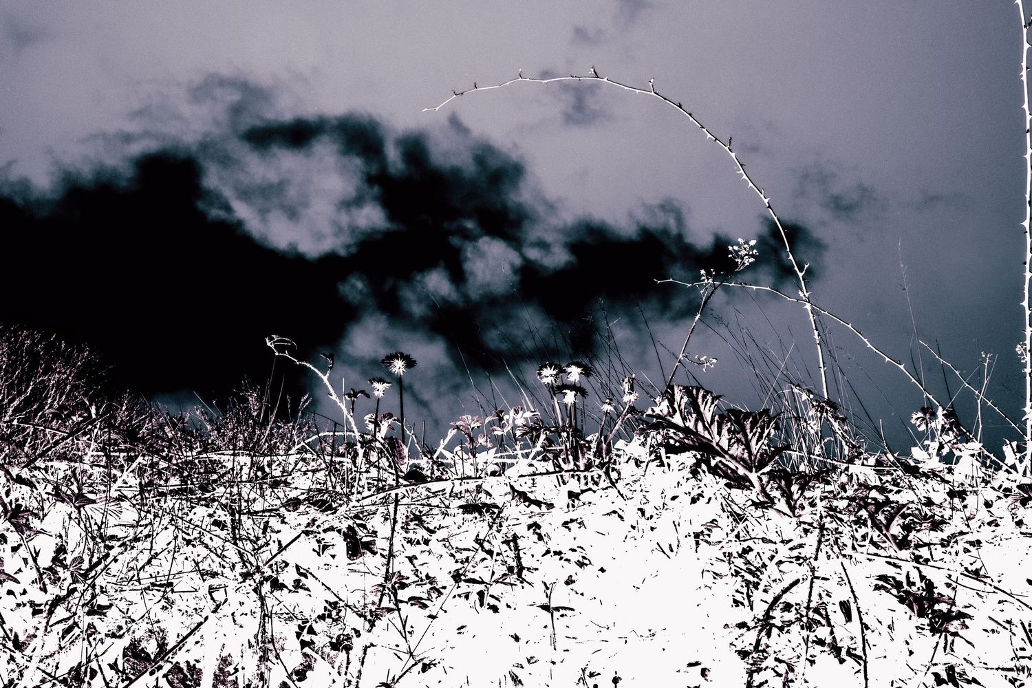 Snow-covered winter landscape with bare plants and dramatic dark storm clouds reflected in water.