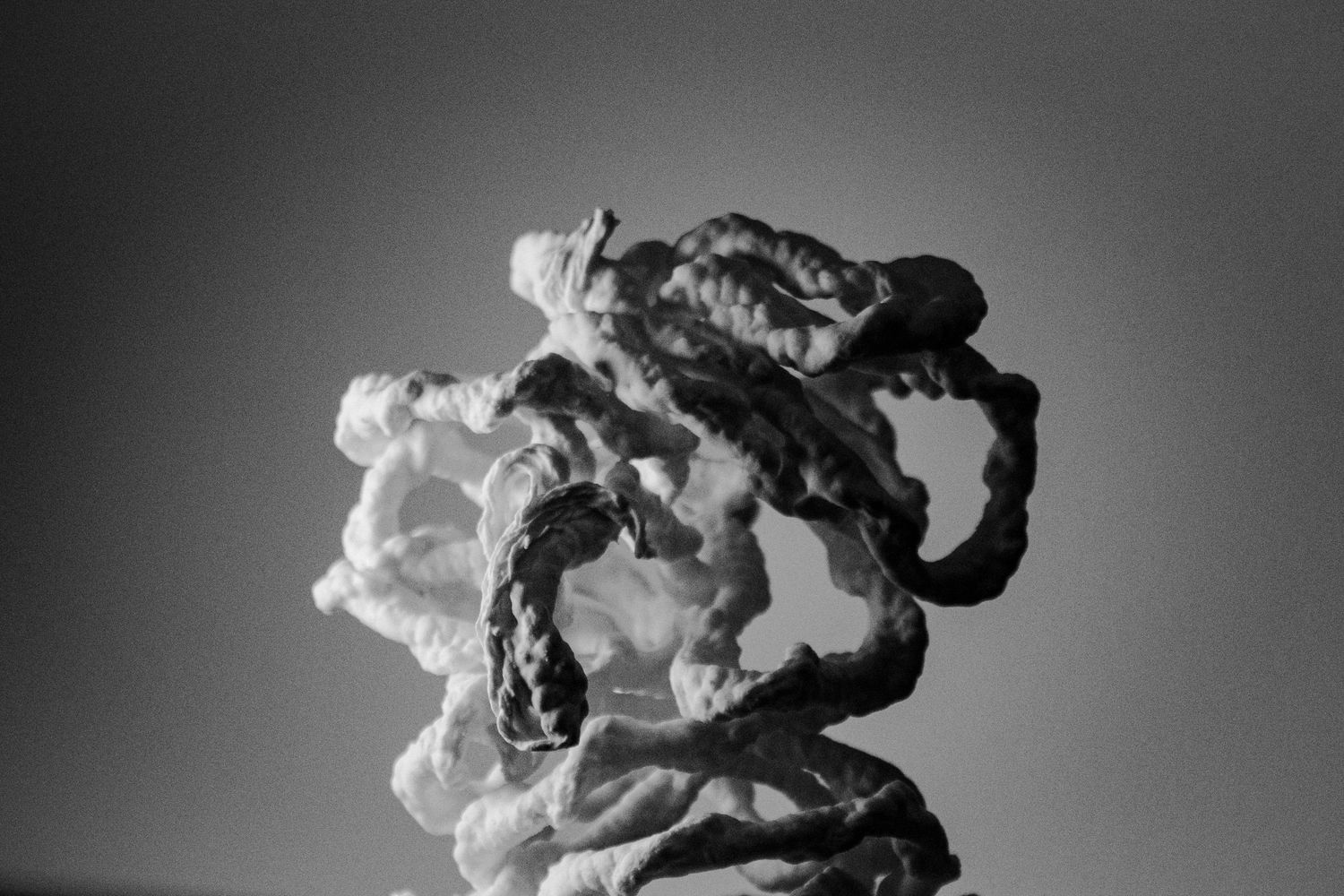 Black and white abstract sculpture of crumpled organic forms against grey background.