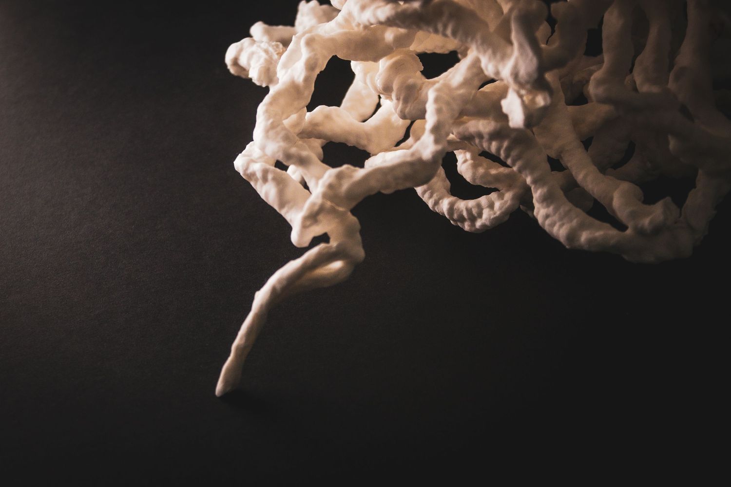 White coral-like sculptural form with twisted organic shapes against a dark background.