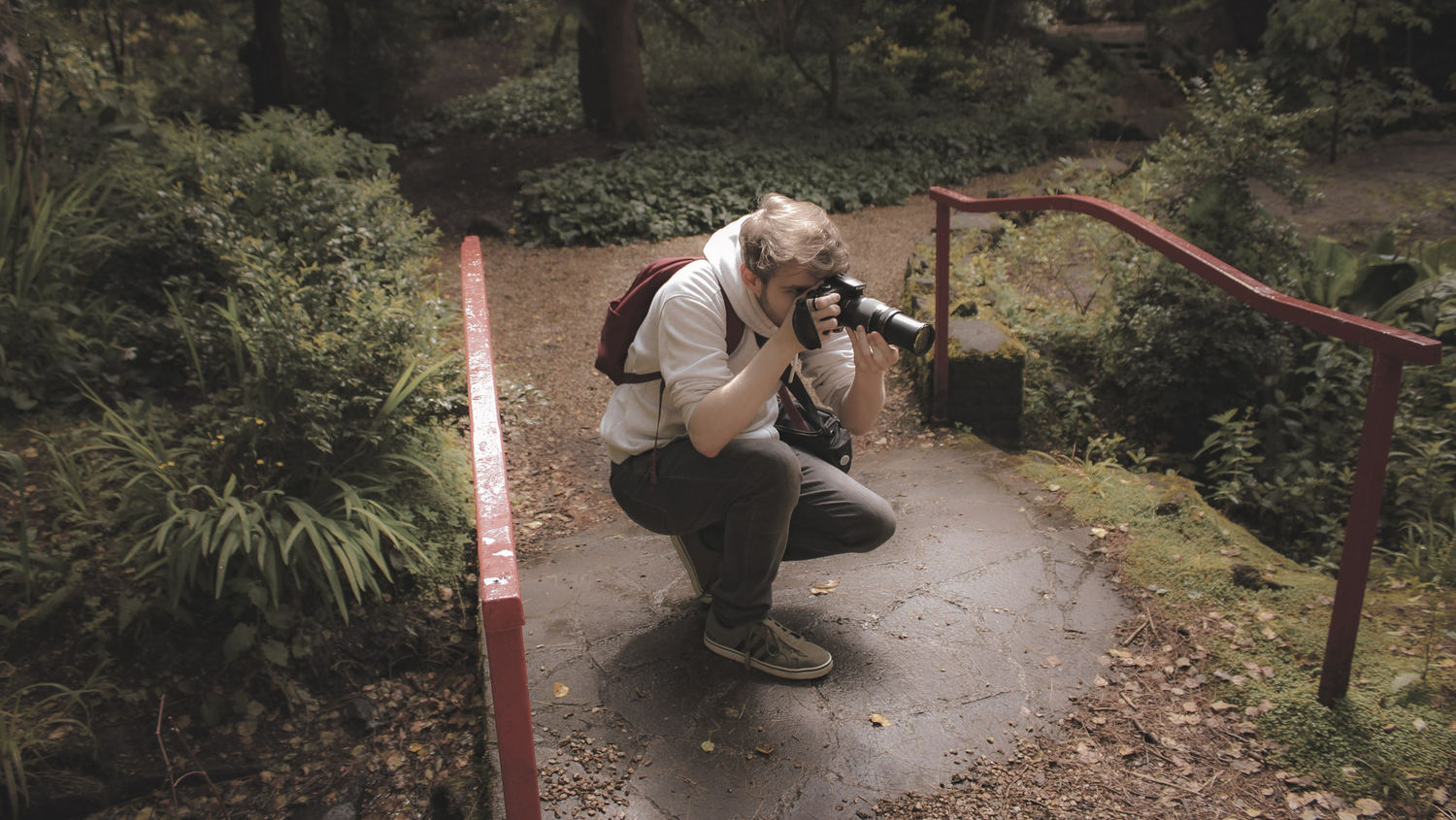 Photographer crouching on a wet forest path, capturing nature shots with a camera near lush green plants and red railings.
