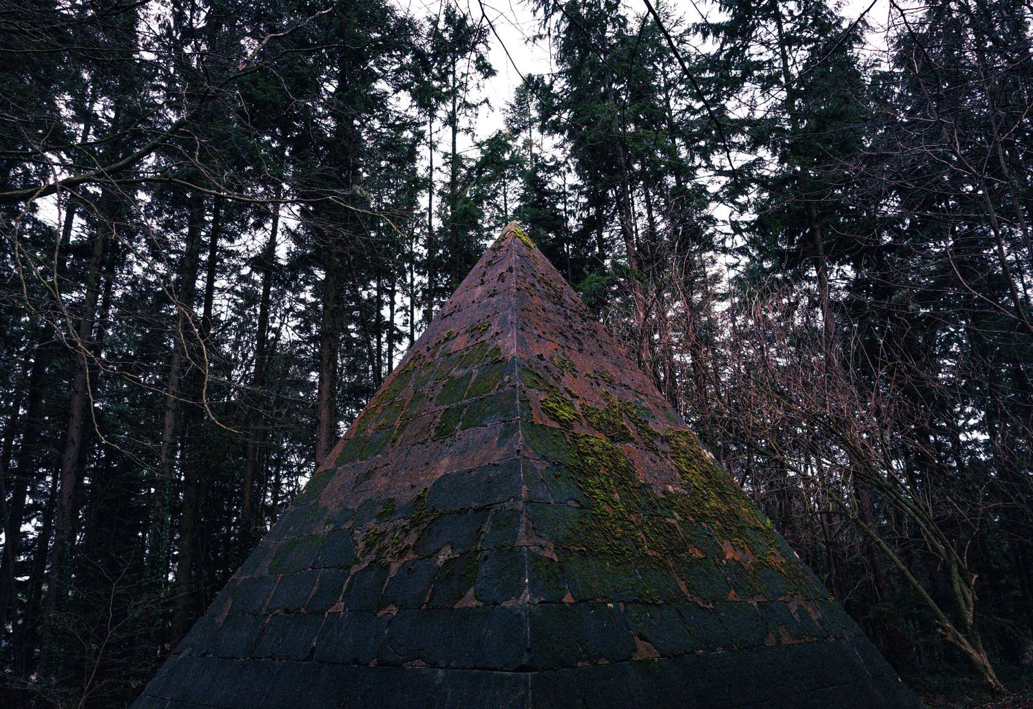 A moss-covered stone pyramid structure rises dramatically against a backdrop of tall dark evergreen forest trees.