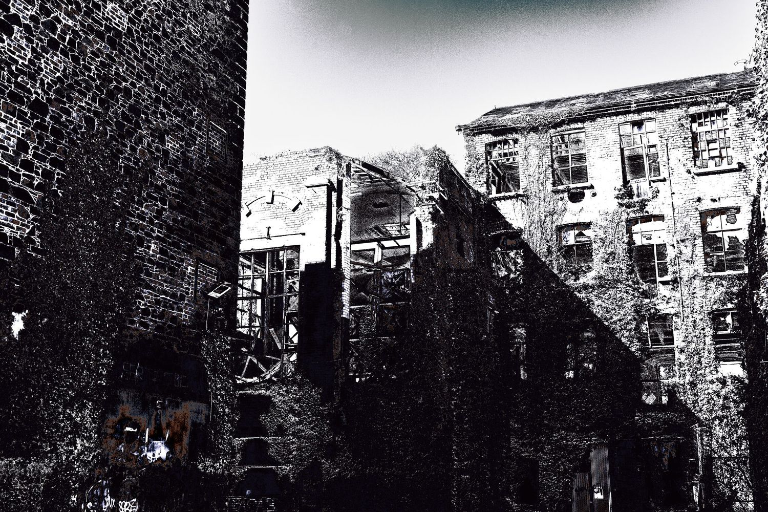 Black and white photo of abandoned ivy-covered brick buildings with dramatic shadows and contrast.