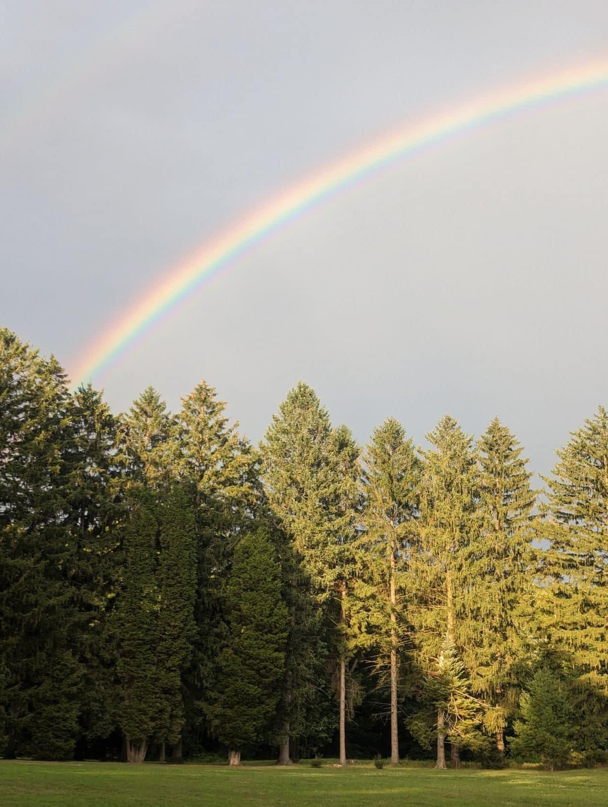 A stunning double rainbow arcs over tall evergreen trees in a lush green park under a cloudy sky.