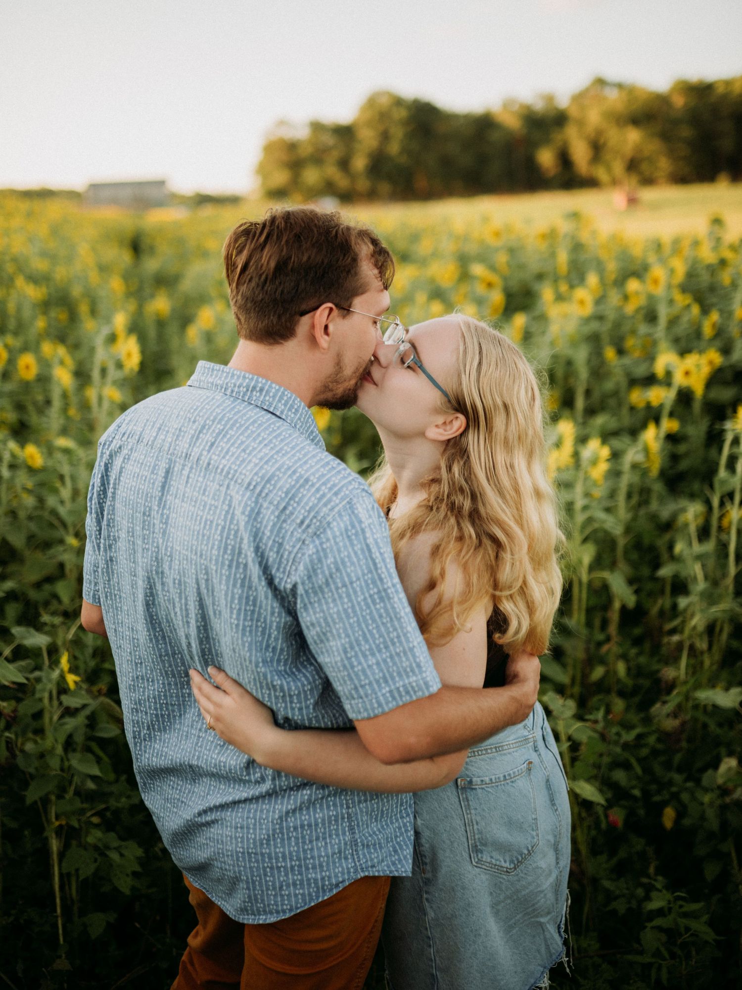 Couple sharing a romantic kiss in a vibrant sunflower field during golden hour sunset.